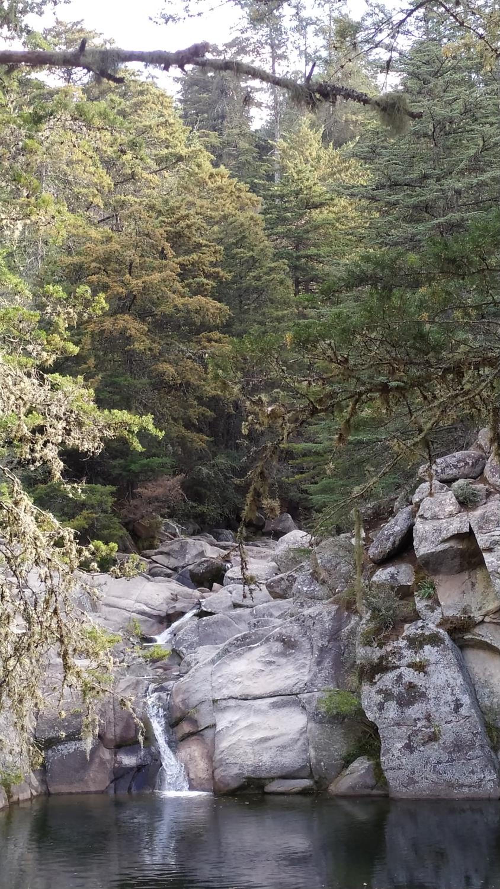 Cabañas en los reartes Rudicasti