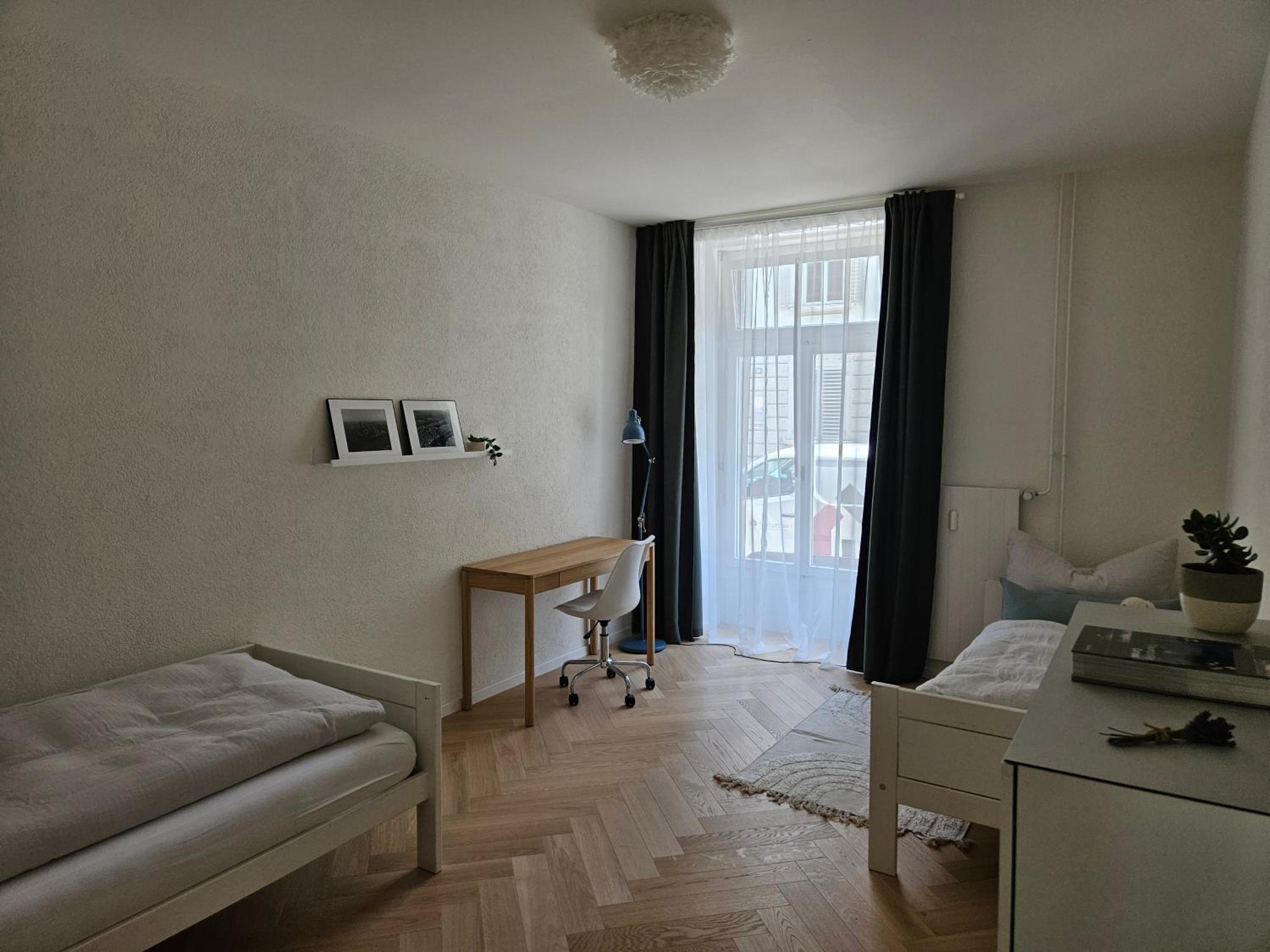 New 2 BR Apartment - 15min from Paradeplatz
