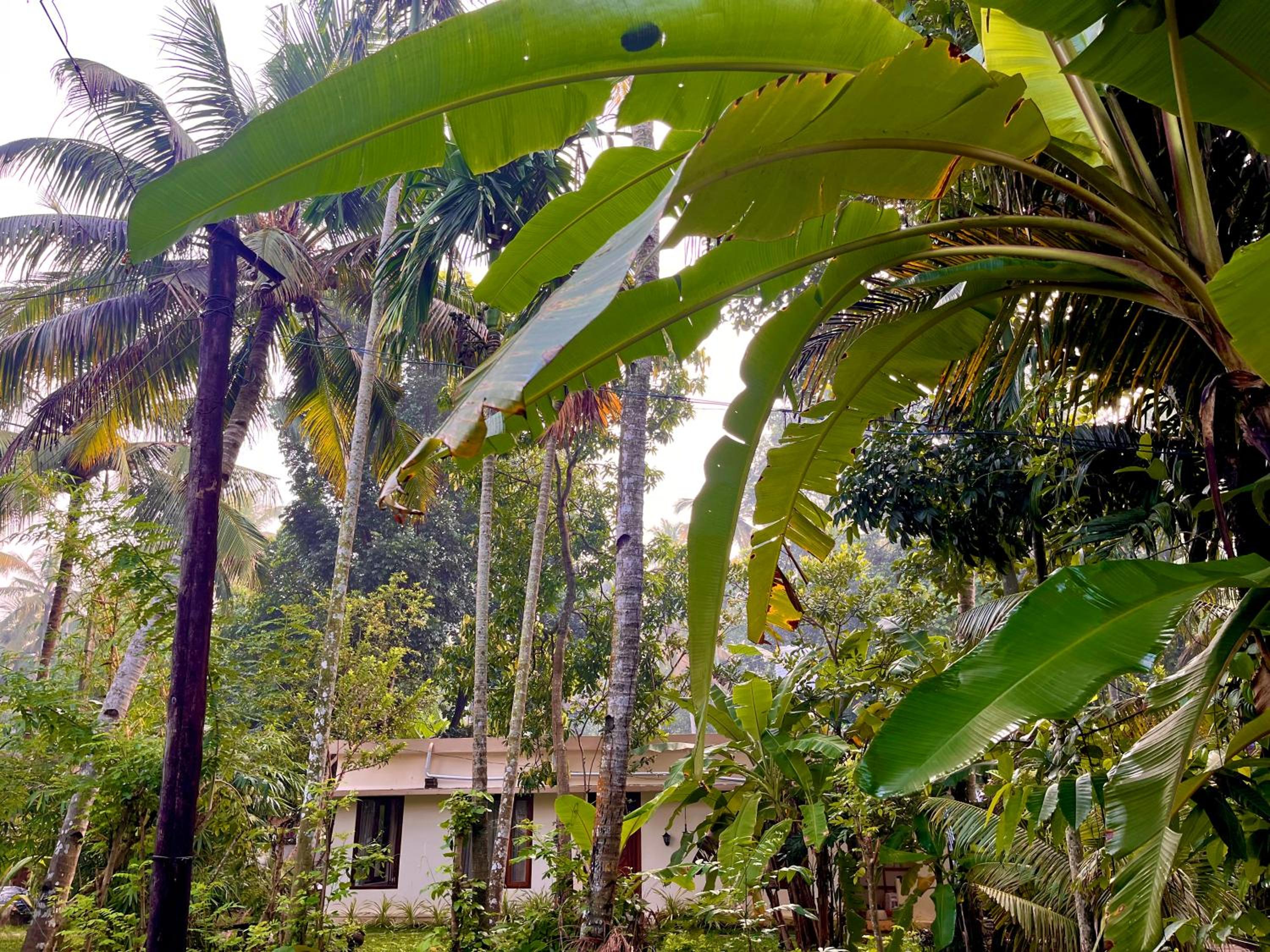 Soulful Homes view 2