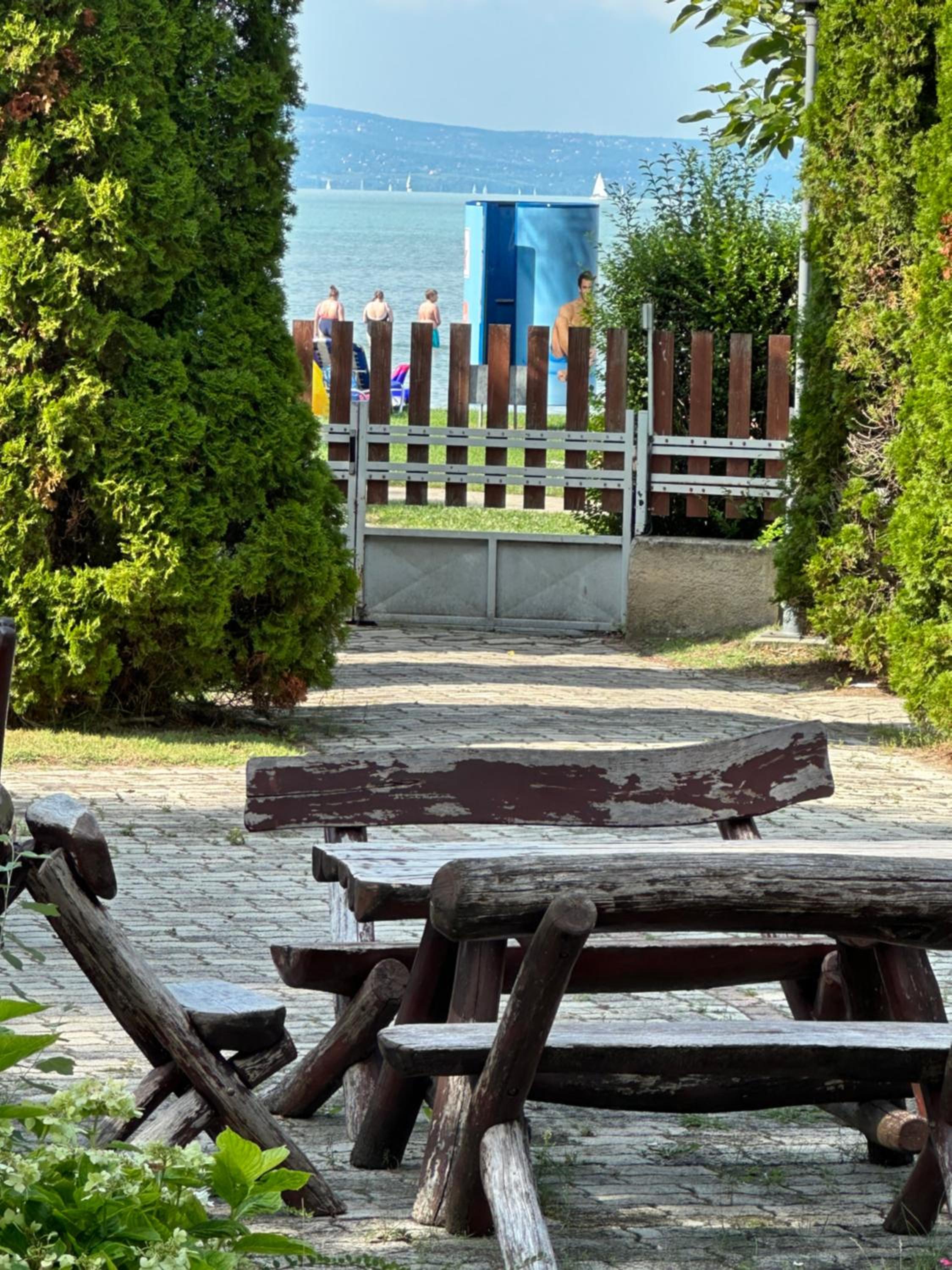 Photo 7