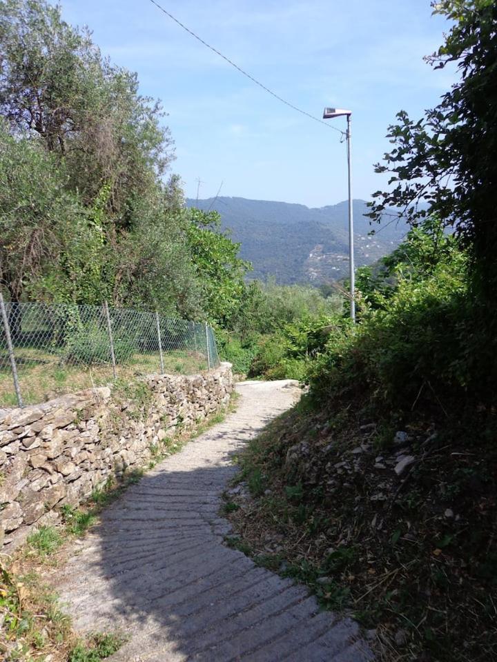 Oasi Di Pace a Recco Verzemma view 5