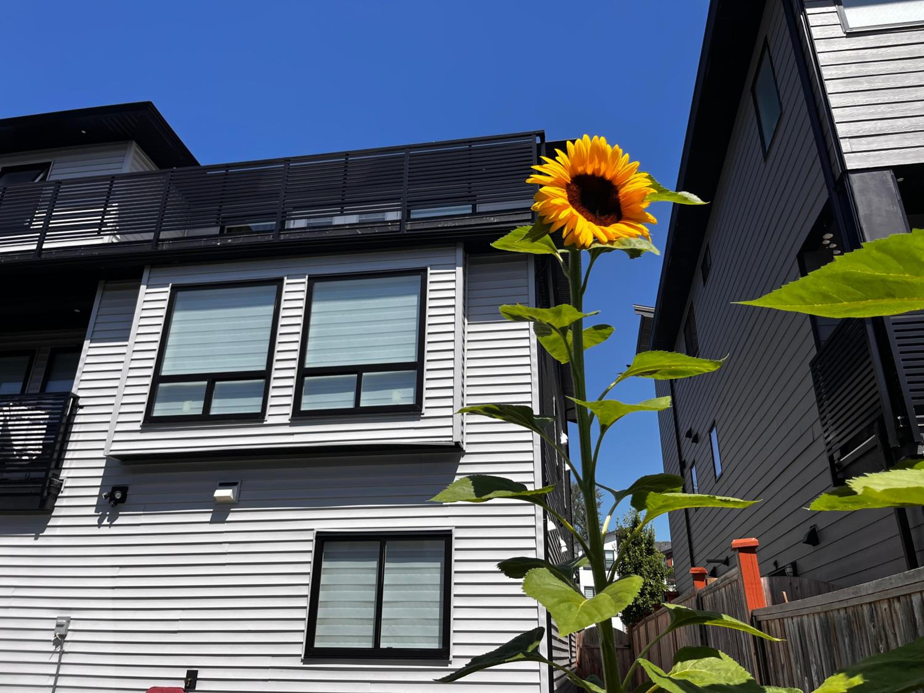 New, Spacious 2 Bedrooms in Downtown With Free Parking!