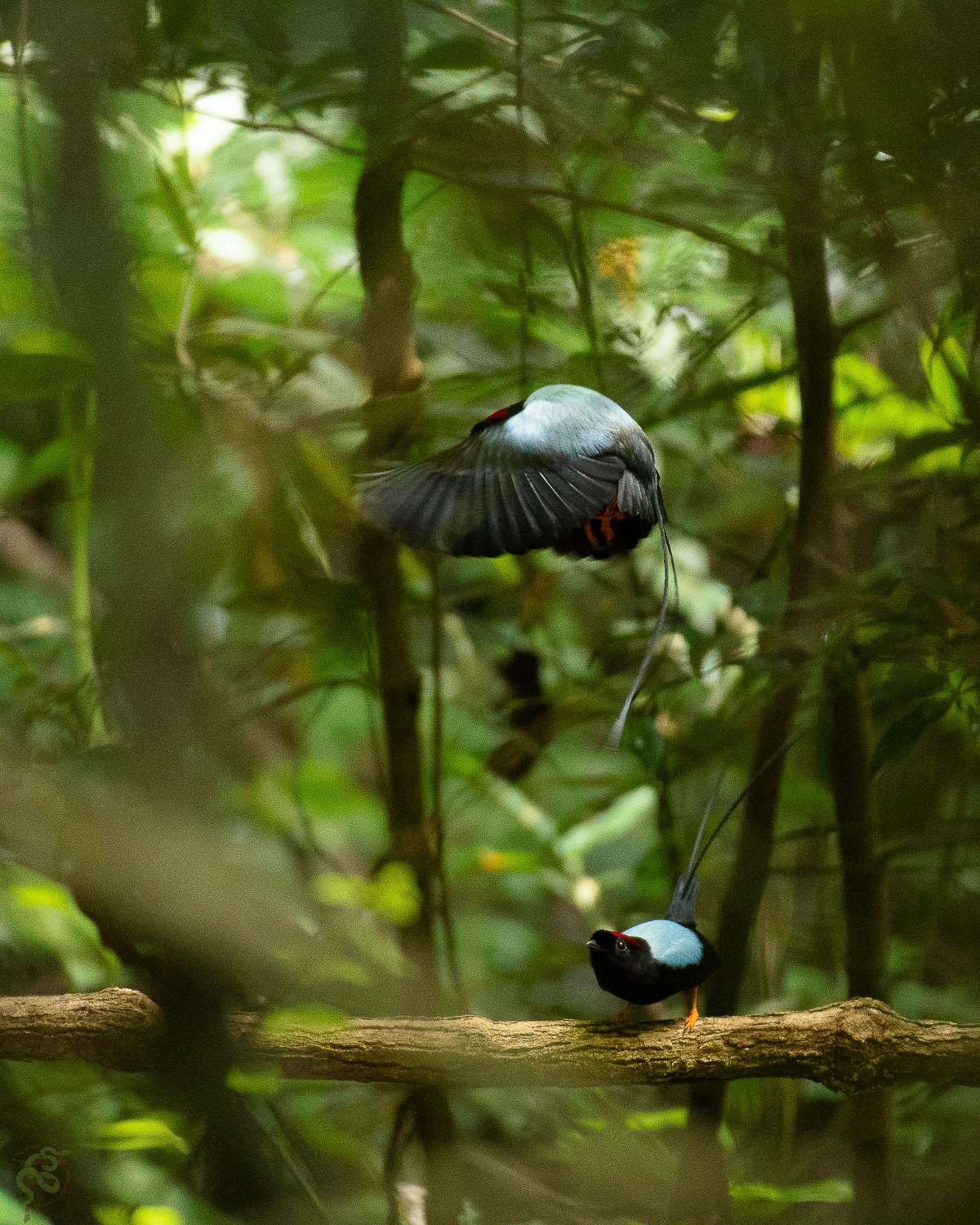 Santuario Ecologico Monteverde