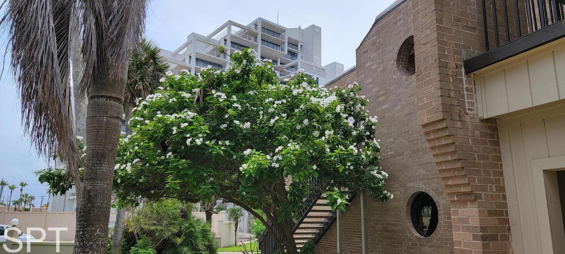 2-Level Beachfront Luxury - Sunchase IV - 326