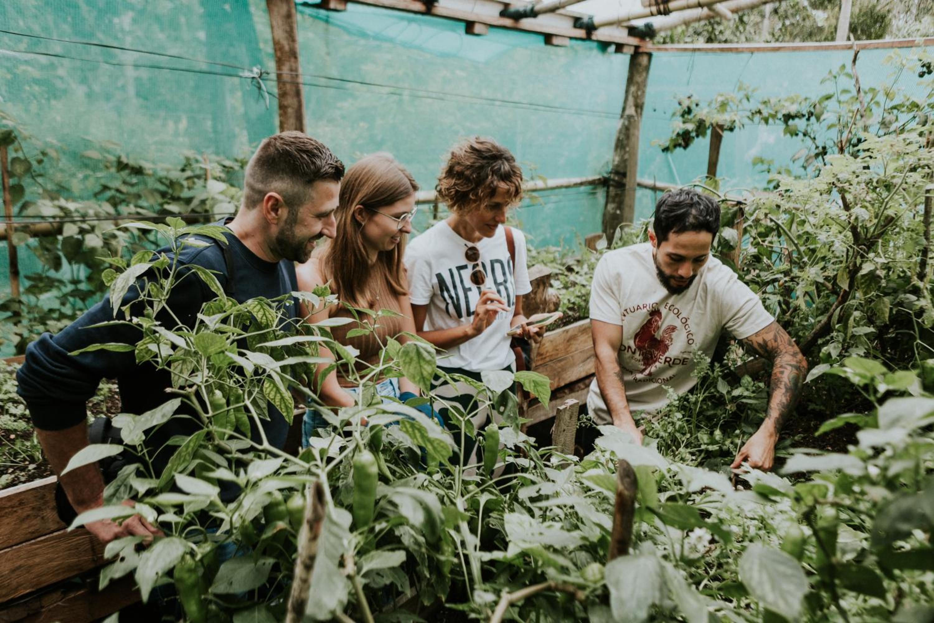 Santuario Ecologico Monteverde