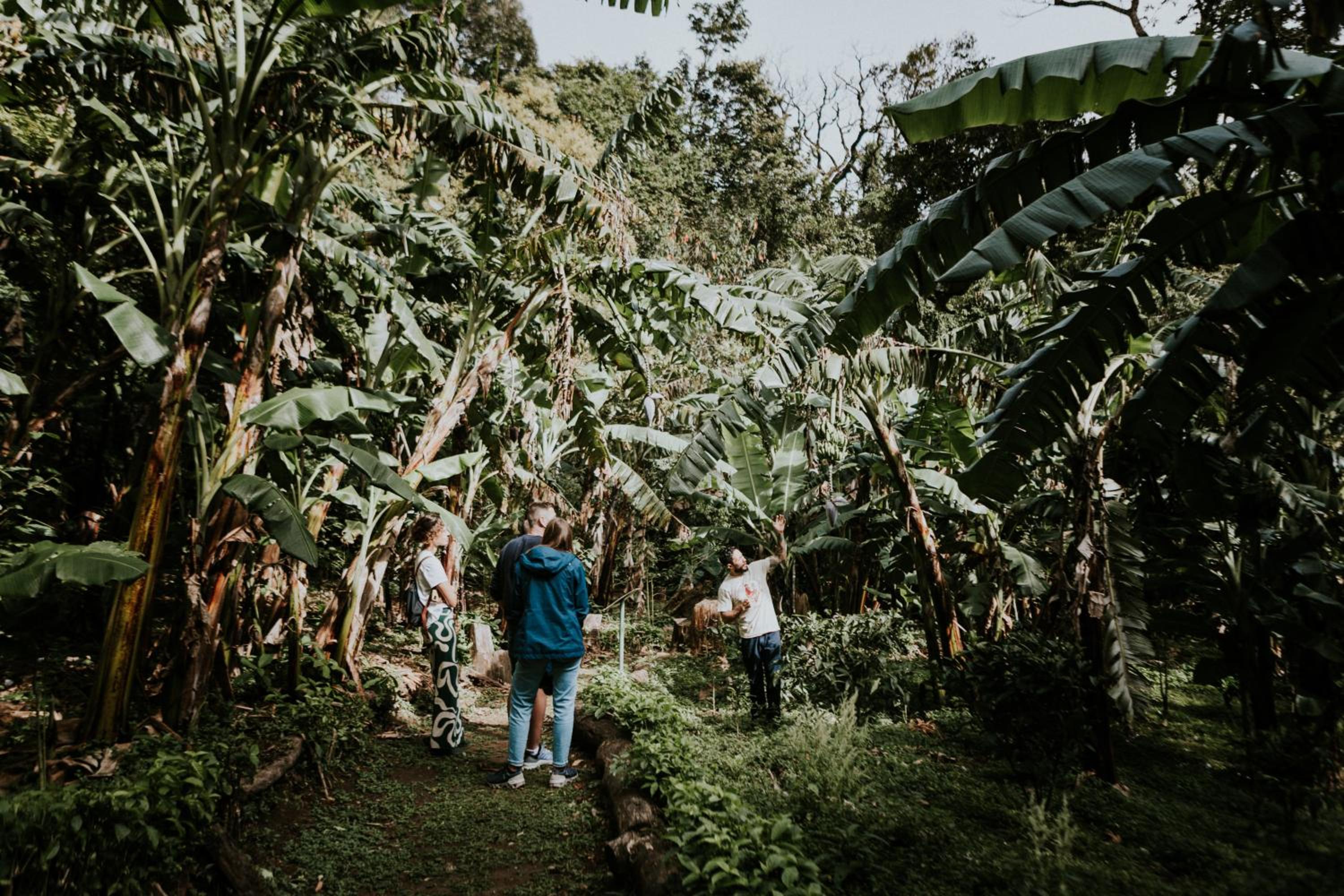 Santuario Ecologico Monteverde