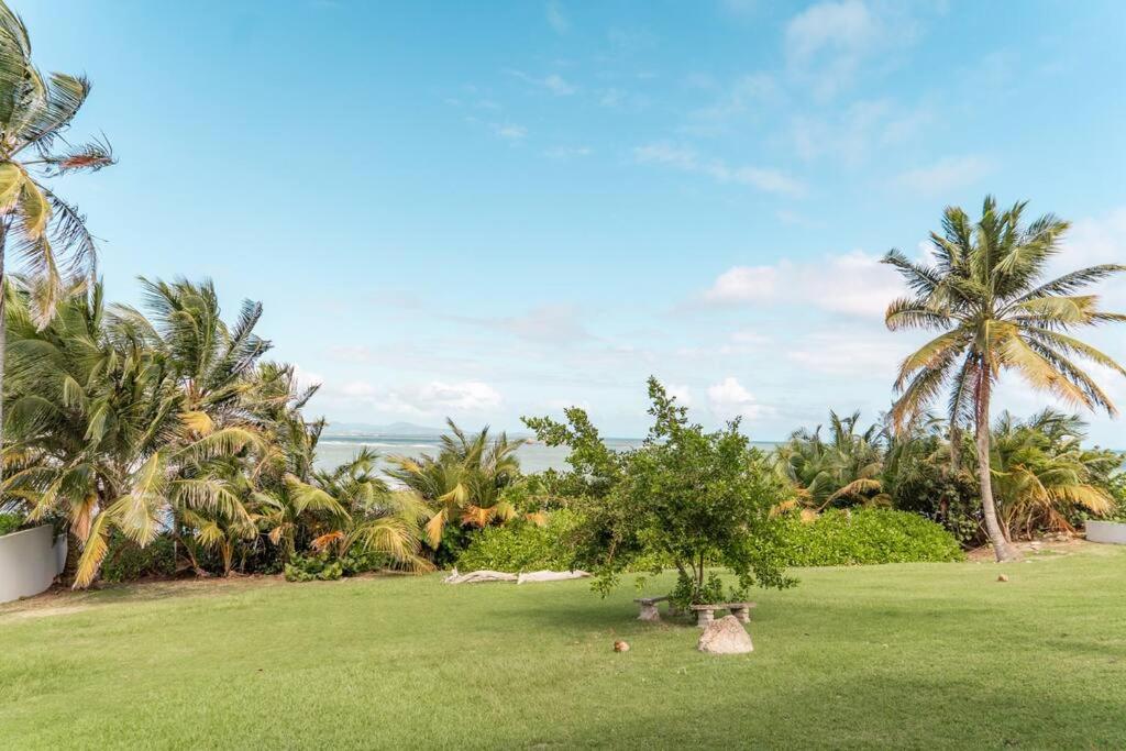 Olive Villa Palmas - Modern Beachfront