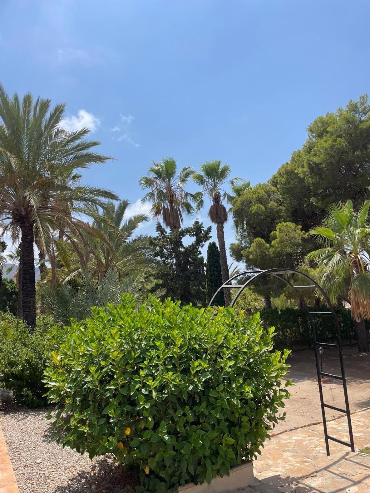 Photo 18
