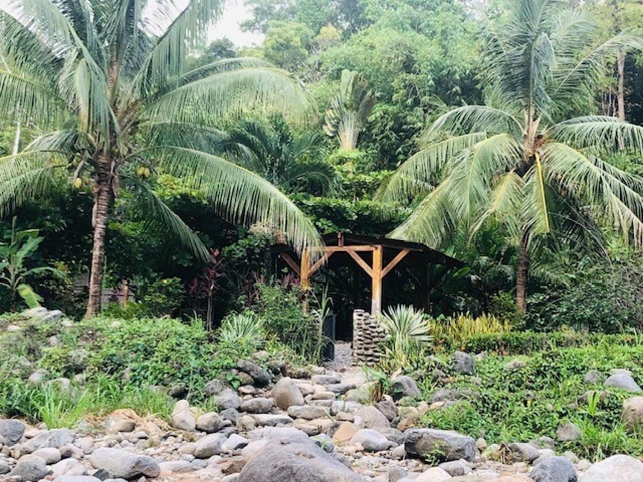 Toucan Villa -riverfront With Pool & Near A Beach