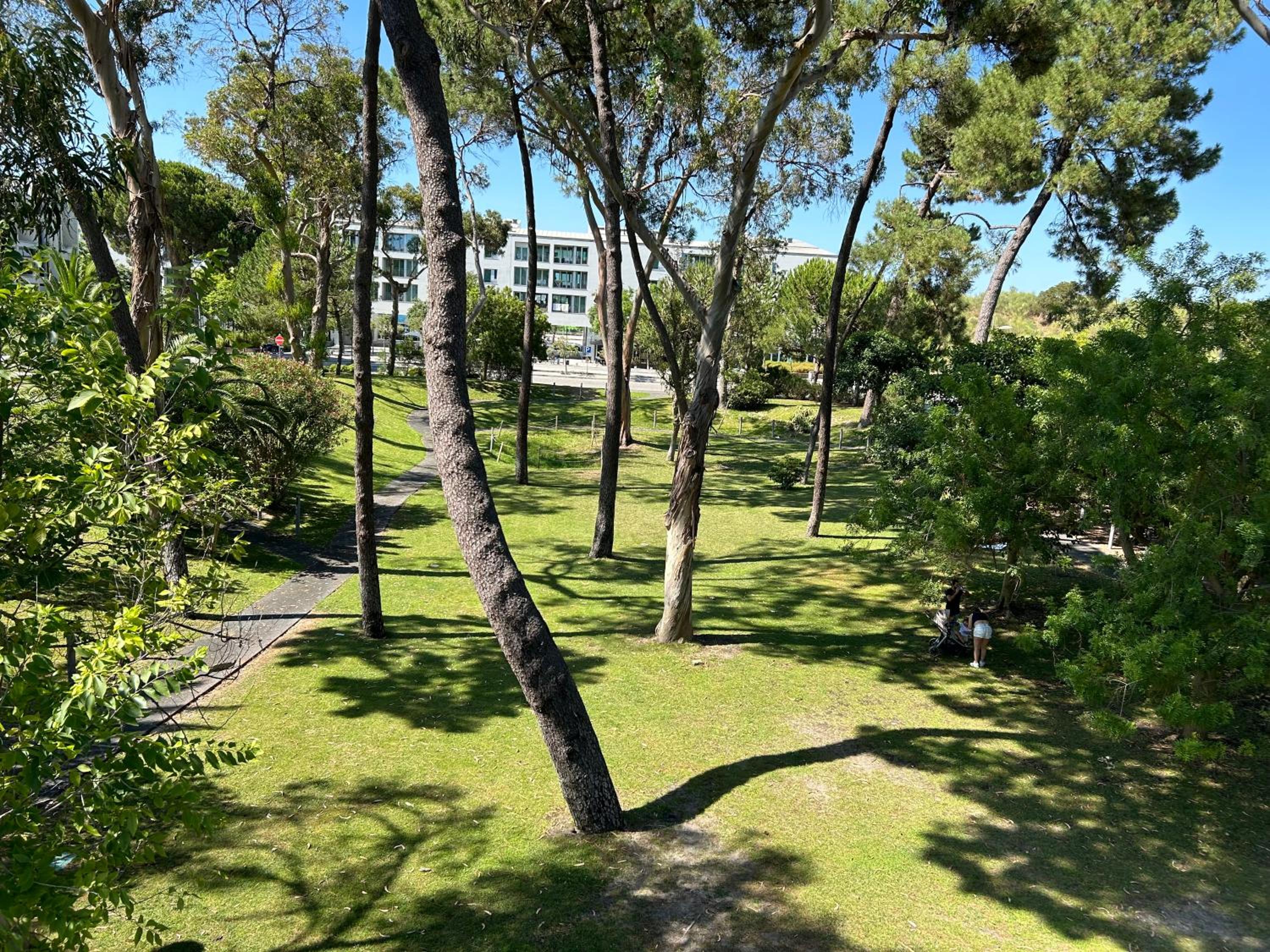 Troia beach apartment by Dias de Sol view 4