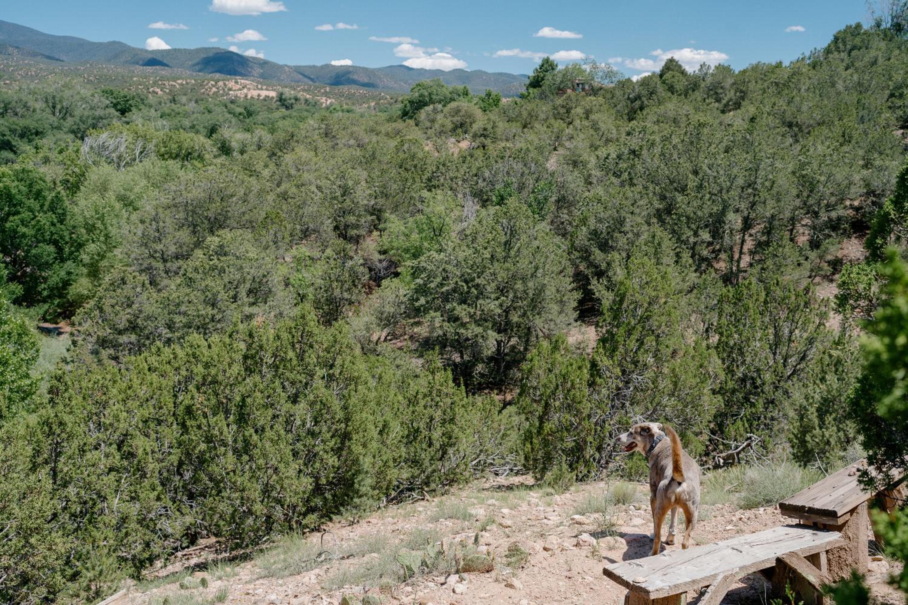 Tesuque Outpost 3 Casitas Best views in Santa Fe view 5