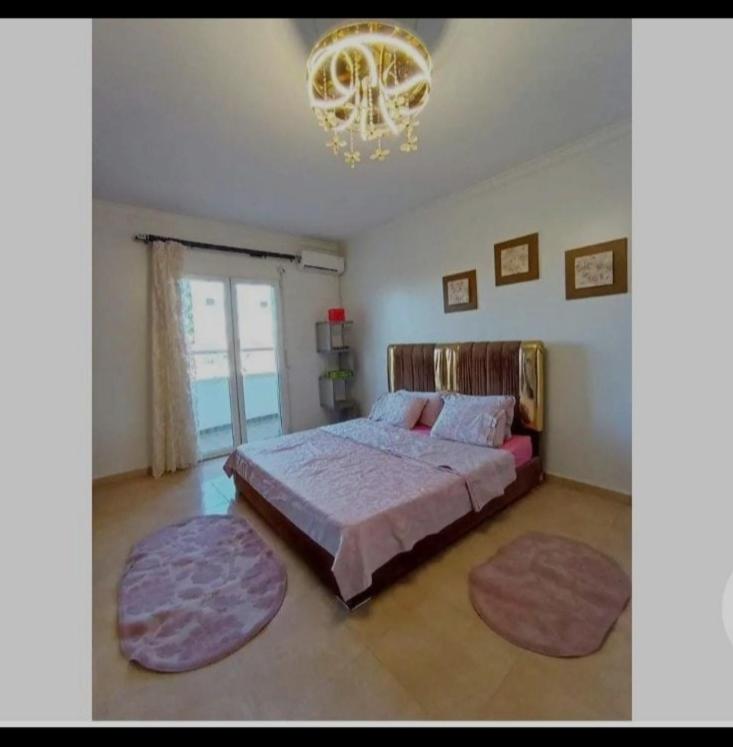 Appartement pré du stade olympique belgaid