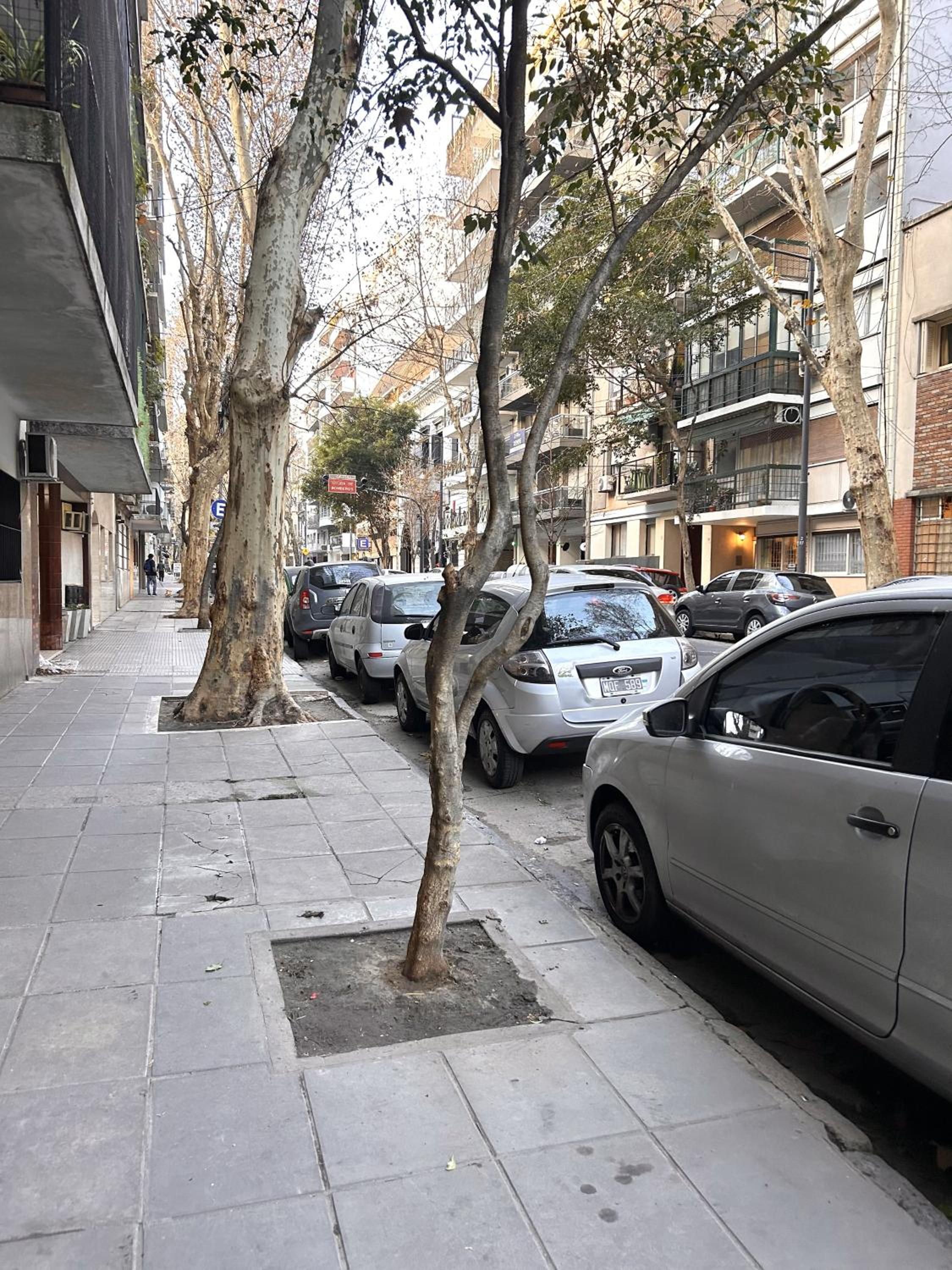 Monoambiente con estilo y comodidad en recoleta