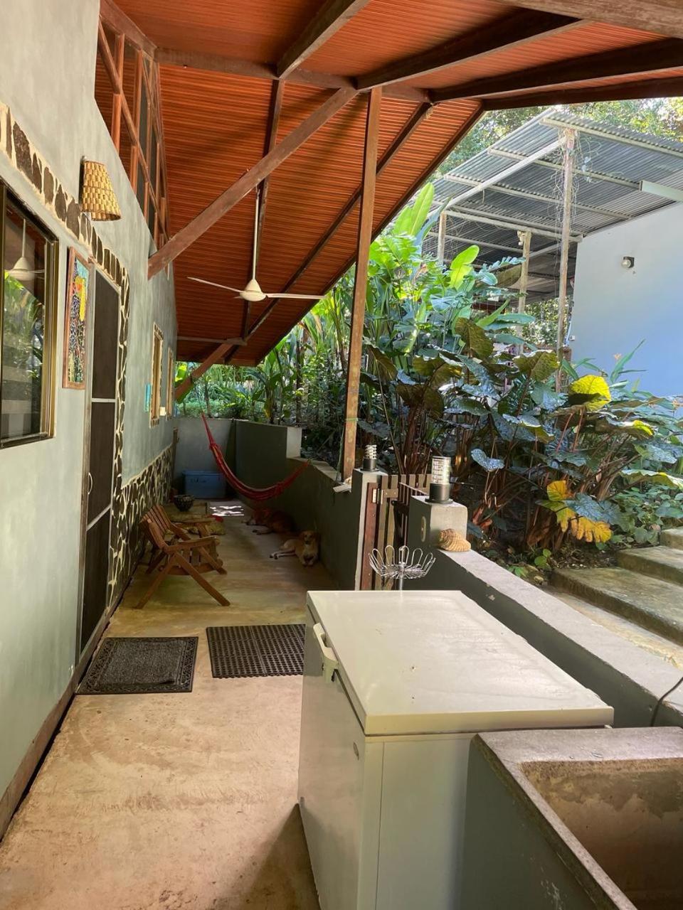 Charming Jungle Home Near Corcovado National Park
