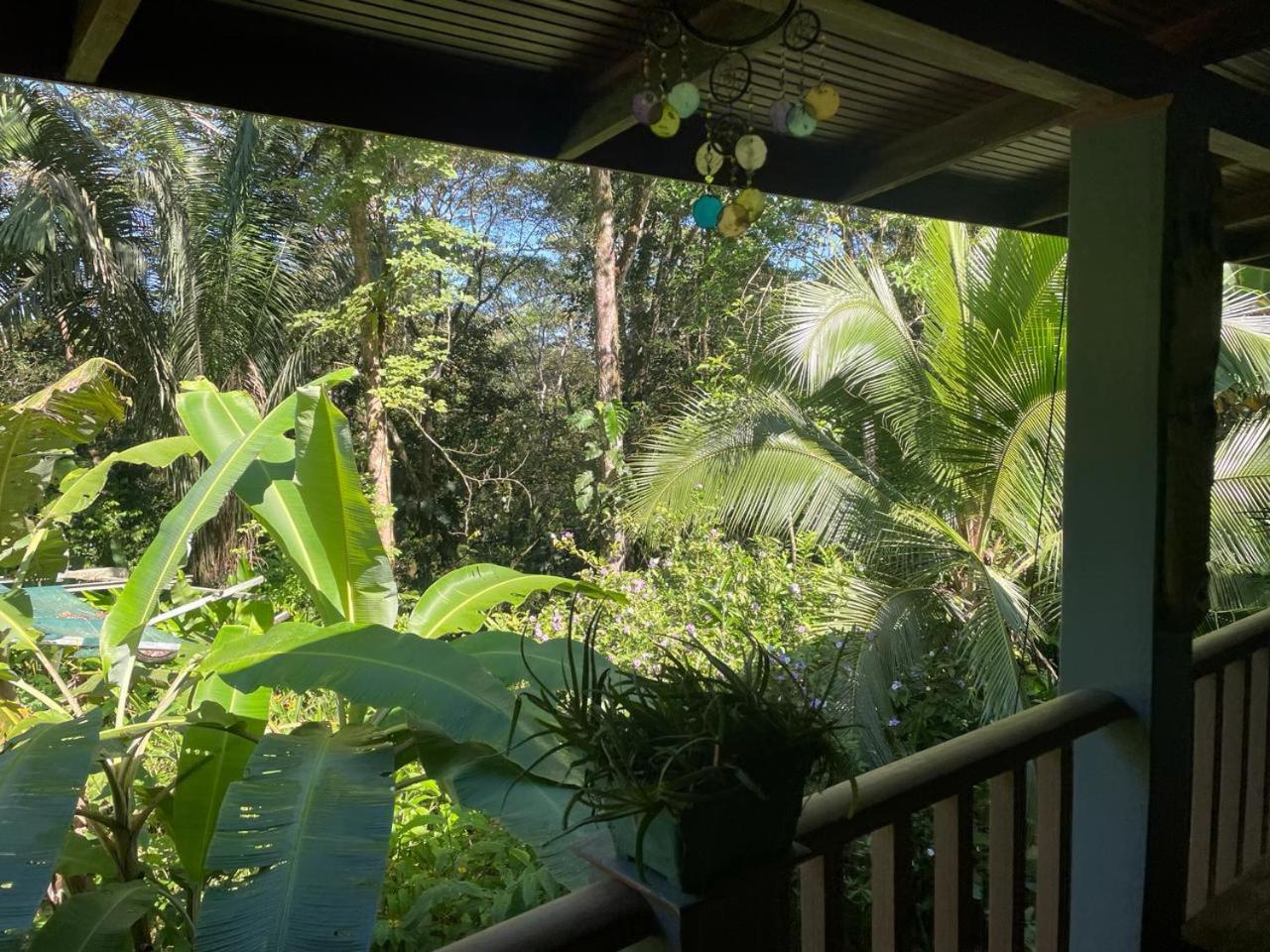 Charming Jungle Home Near Corcovado National Park