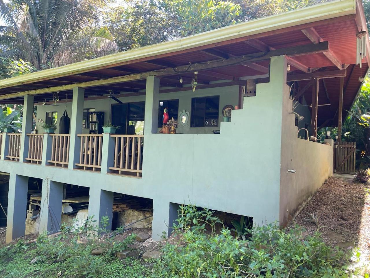 Charming Jungle Home Near Corcovado National Park