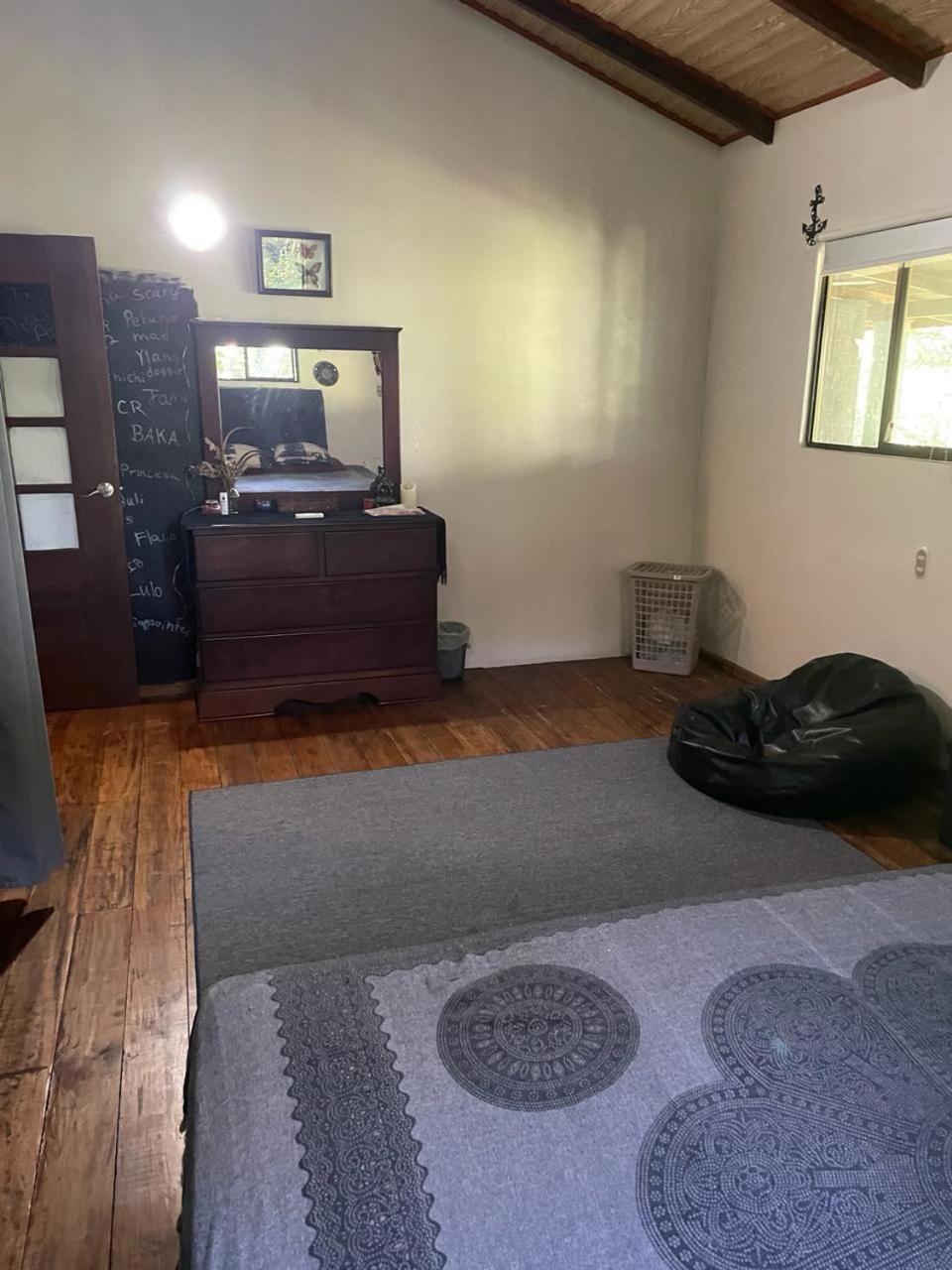 Charming Jungle Home Near Corcovado National Park