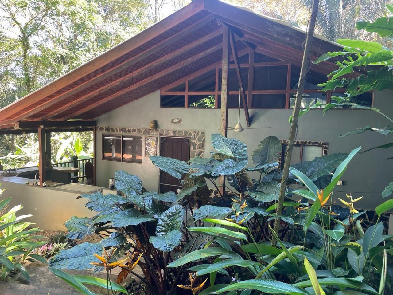 Charming Jungle Home Near Corcovado National Park