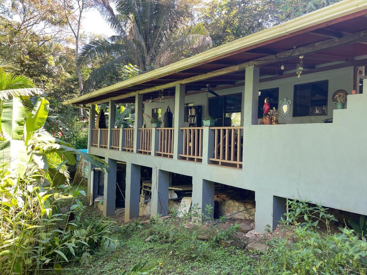Charming Jungle Home Near Corcovado National Park