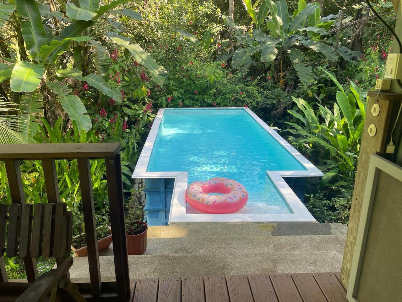 Charming Jungle Home Near Corcovado National Park