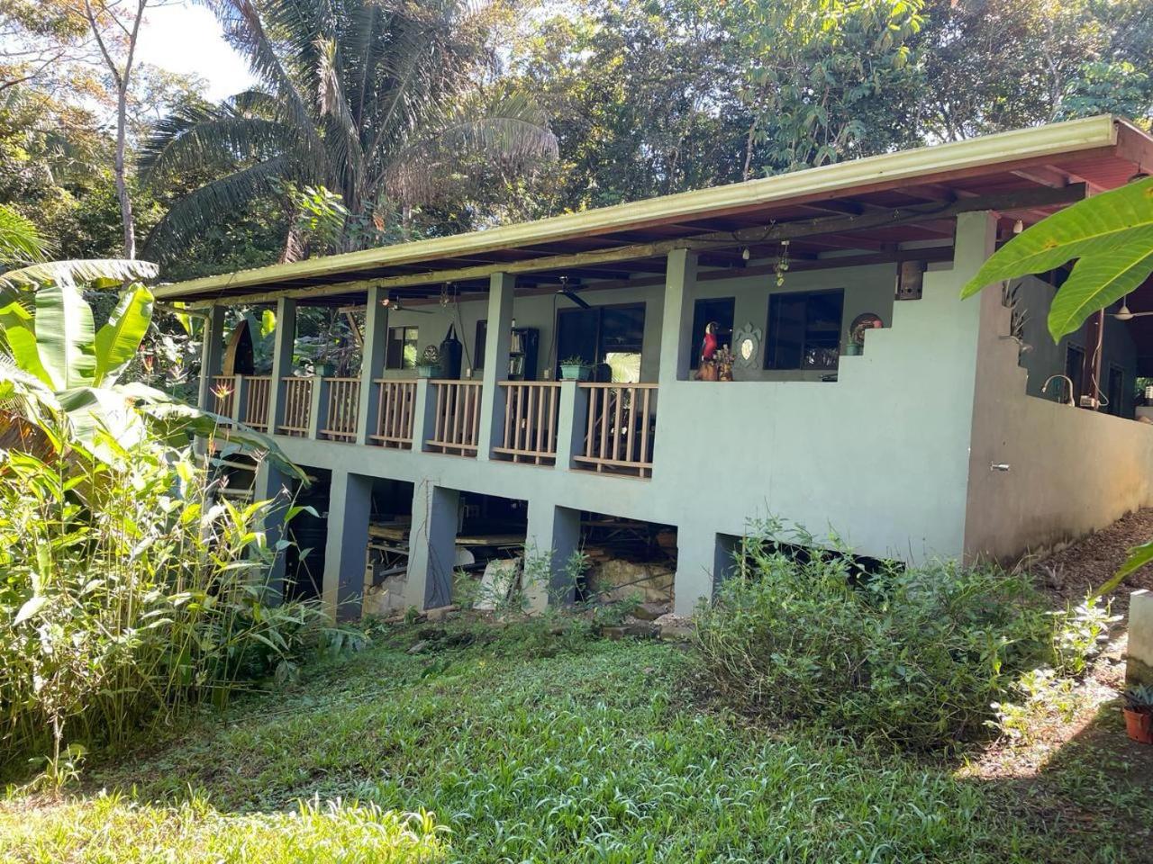Charming Jungle Home Near Corcovado National Park