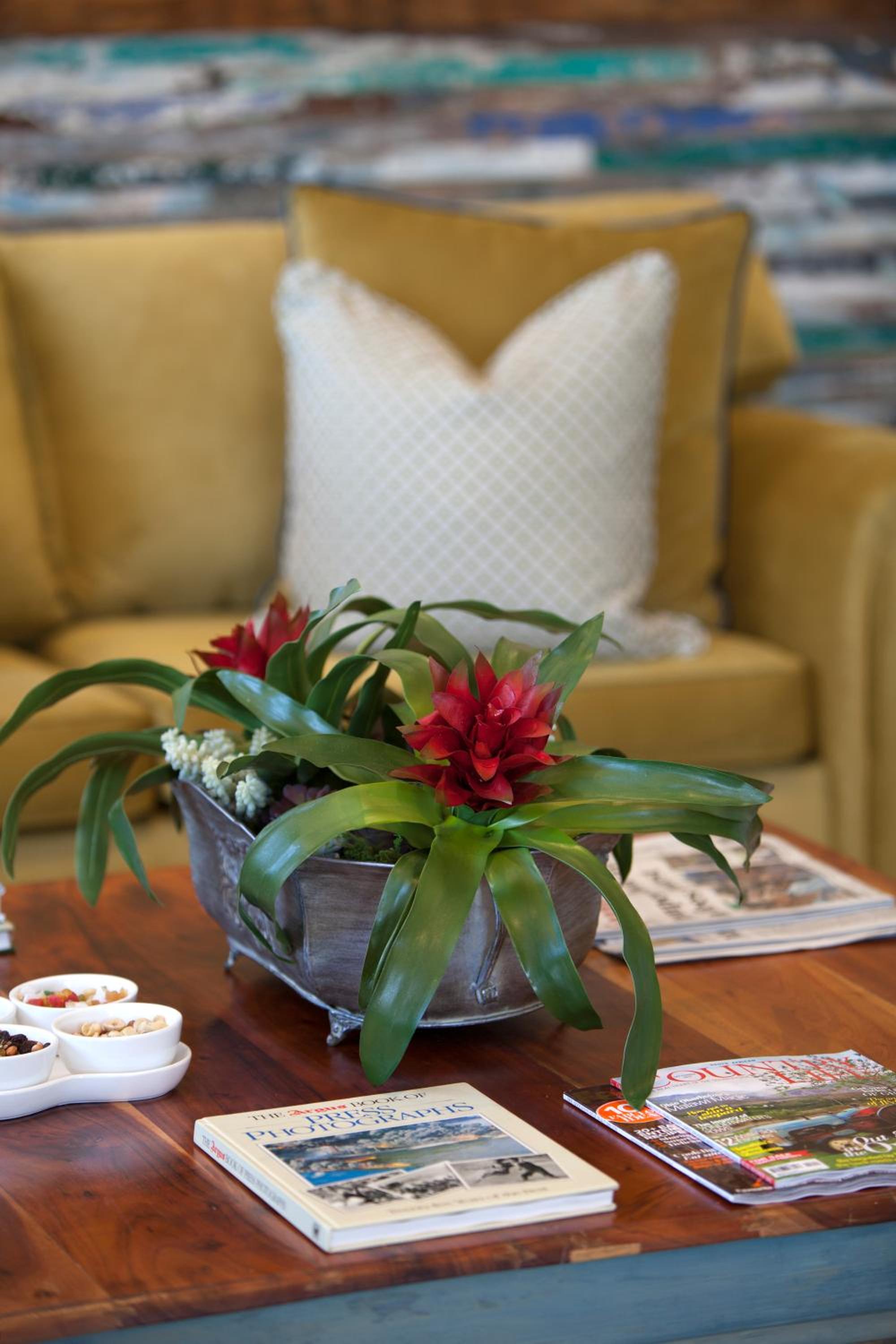Hermanus Boutique Guest House