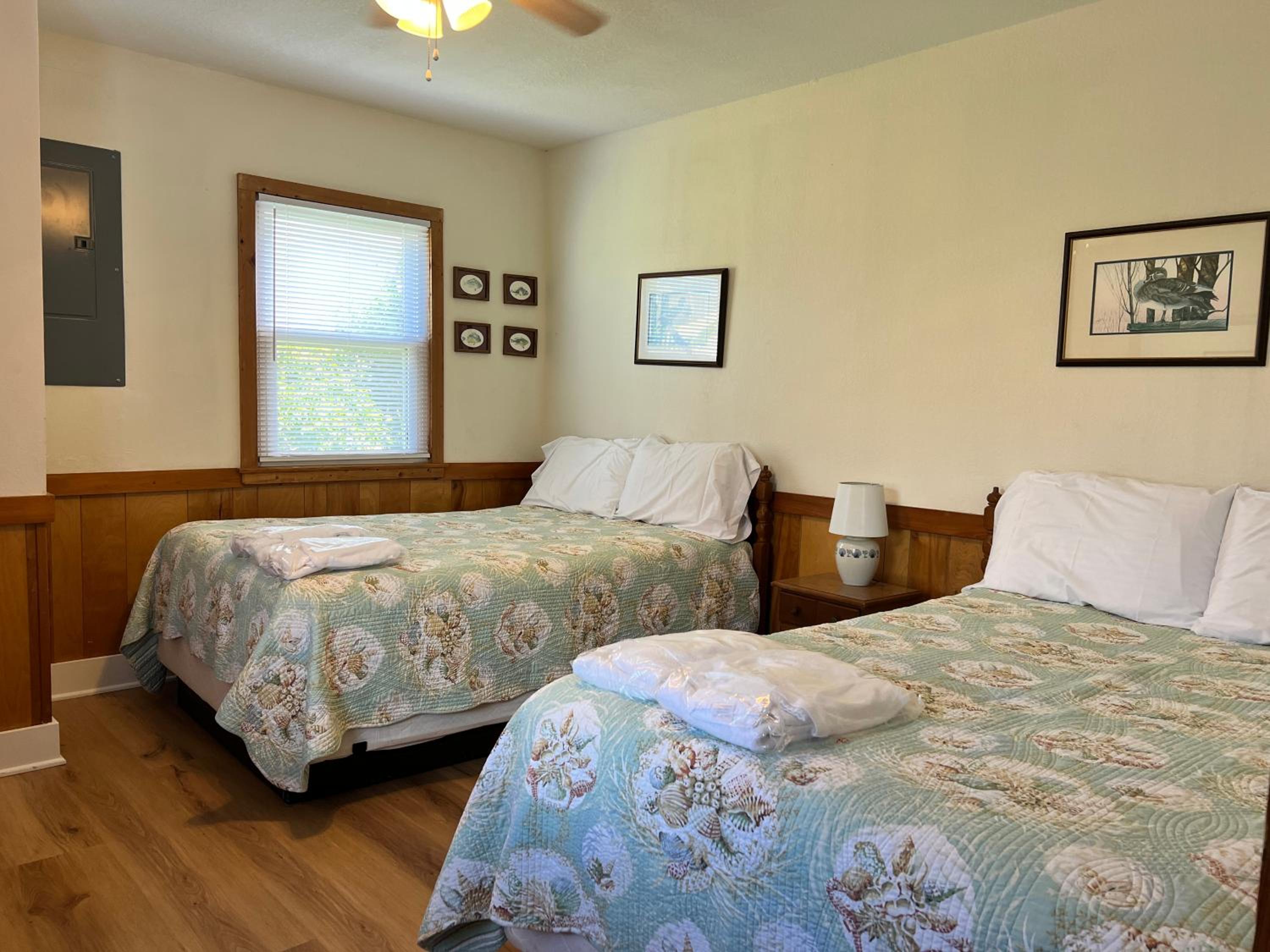 Williams - S Nags Head MP 19, 100 Ft to the Beach, Ocean View, 3 Bedrooms, Close to Pier