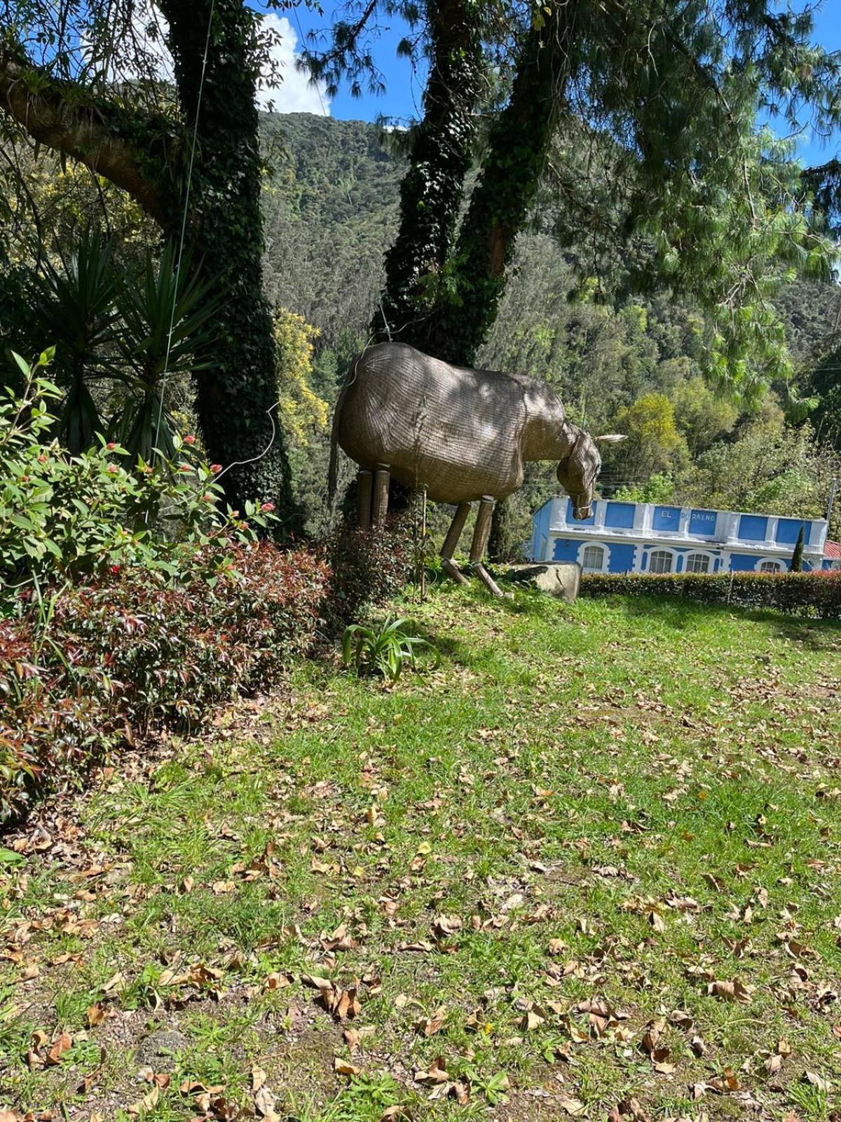 Casa de campo EL DURAZNITO