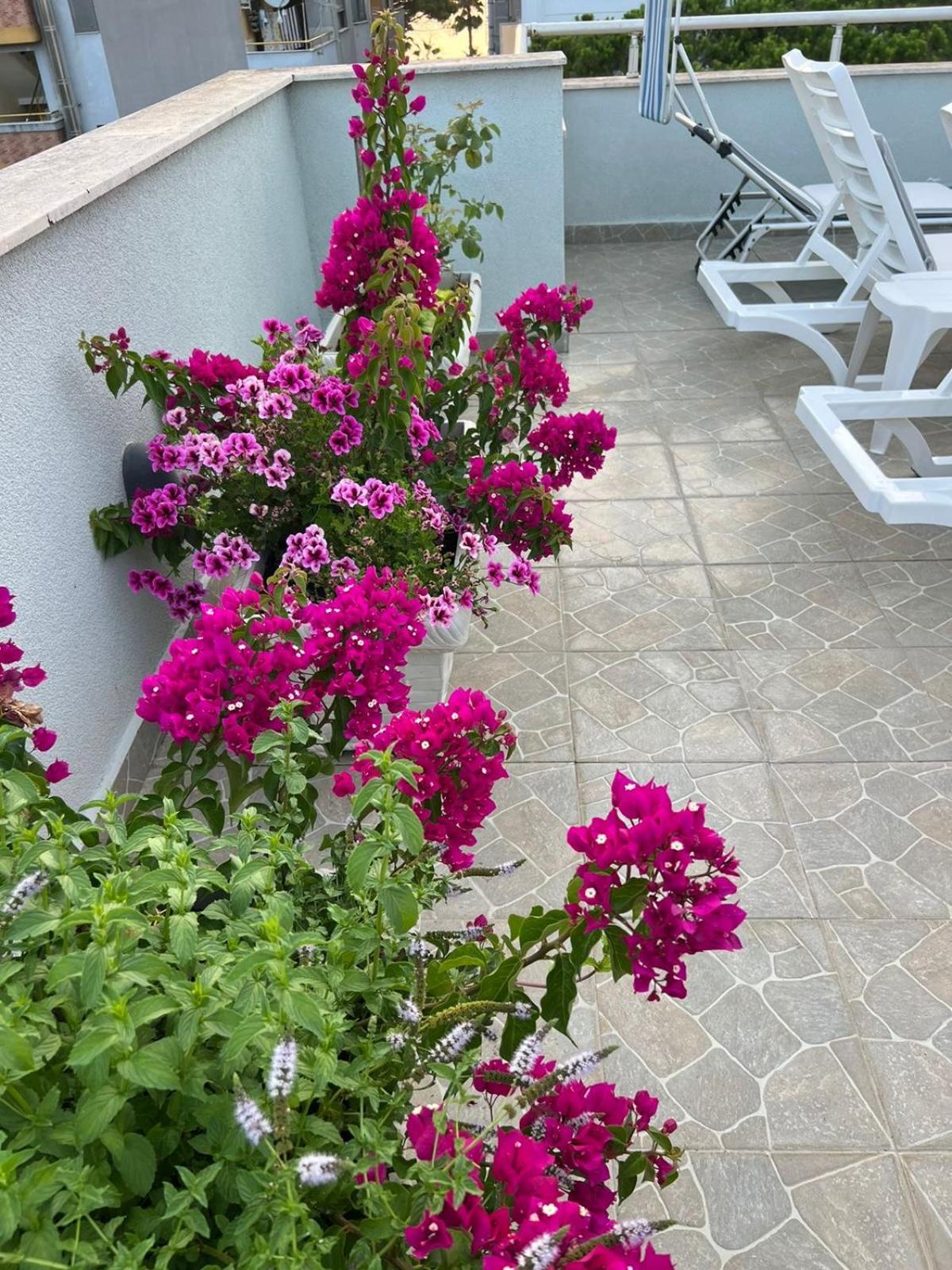 Deluxe Penthouse Golem - Mali i Robit