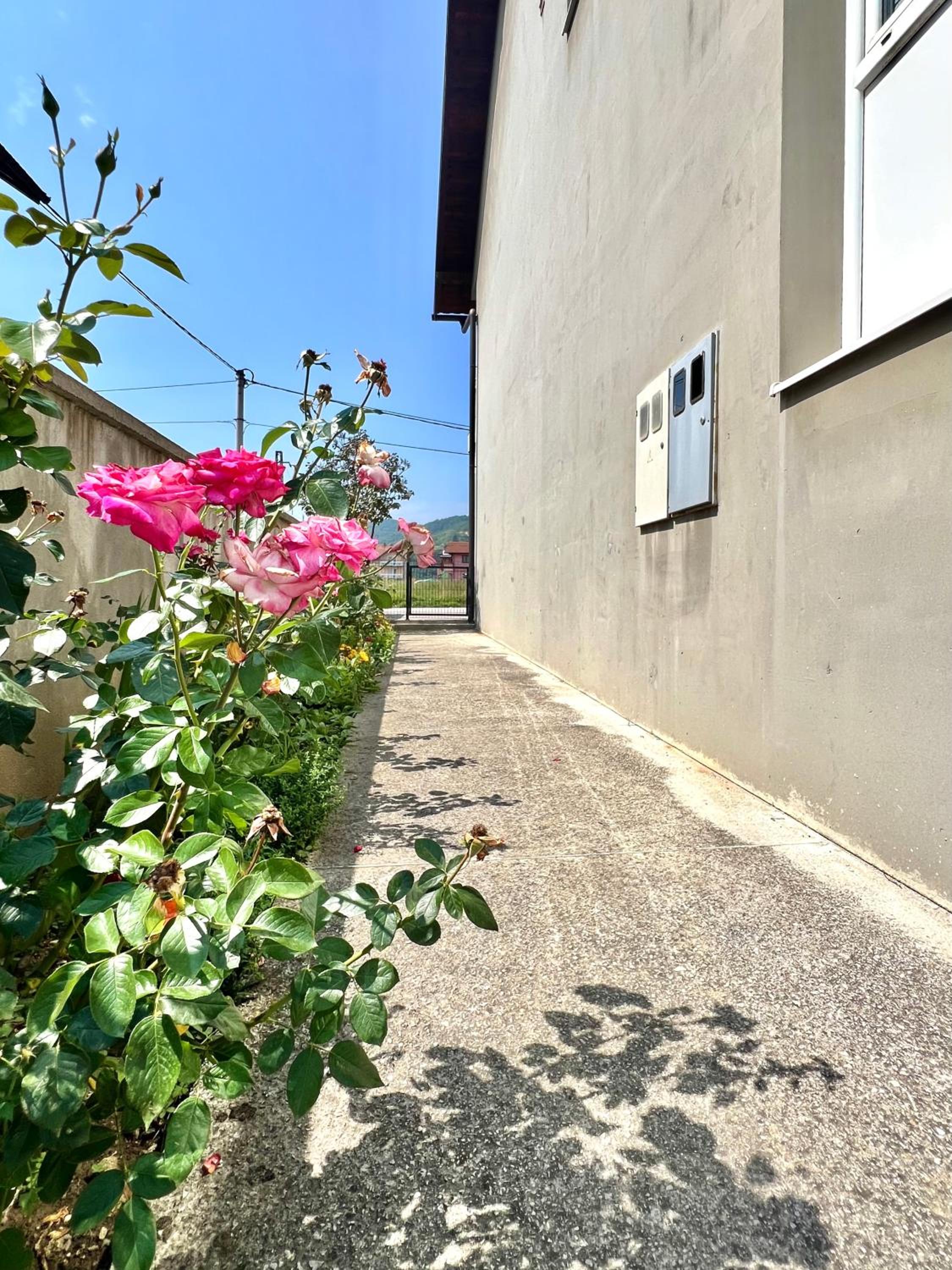 Sweet Home With Garden