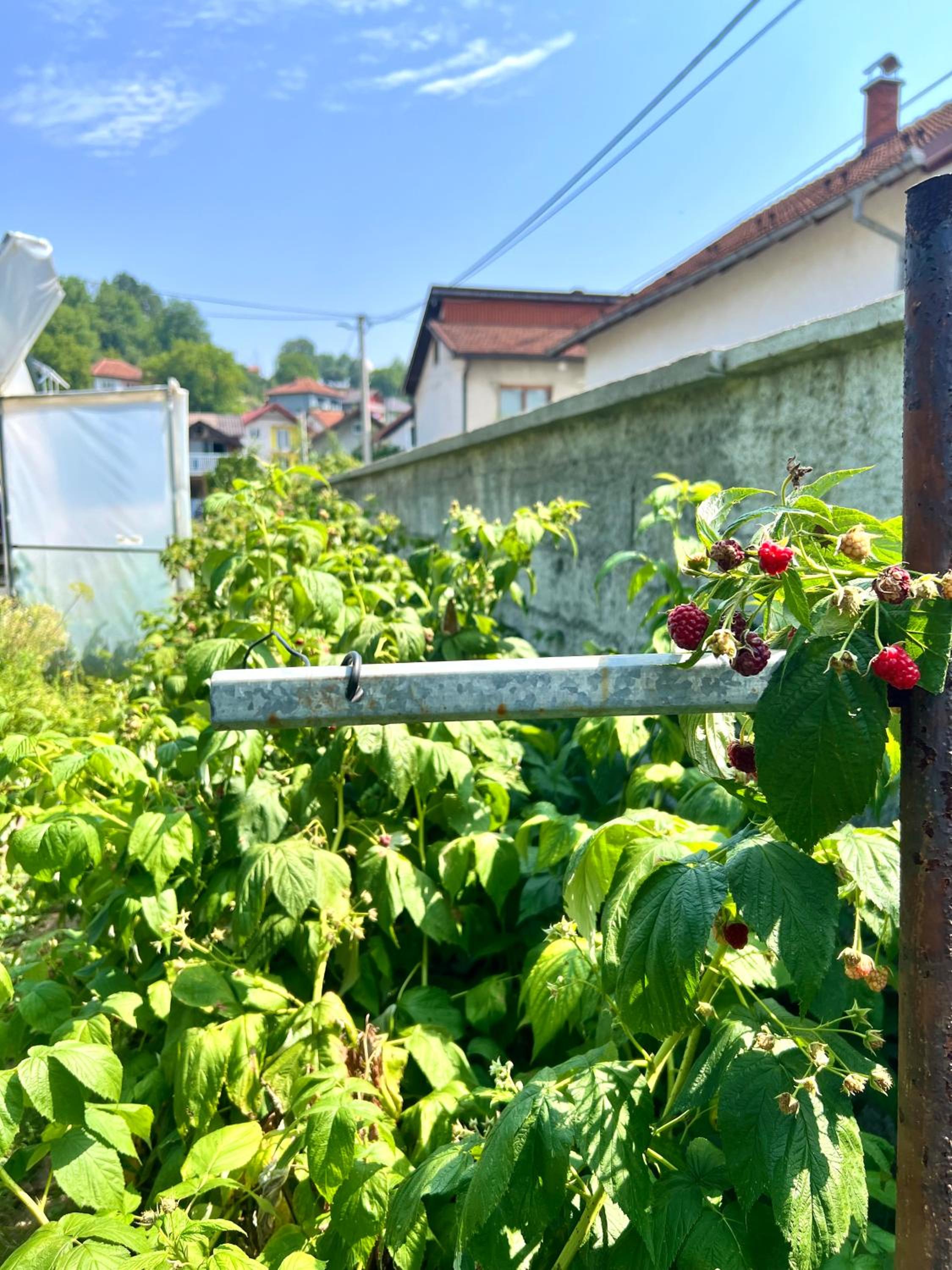 Sweet Home With Garden