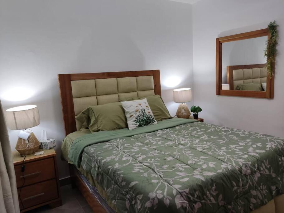 Luxurious Palm Breeze Studio Apt in San Isidro