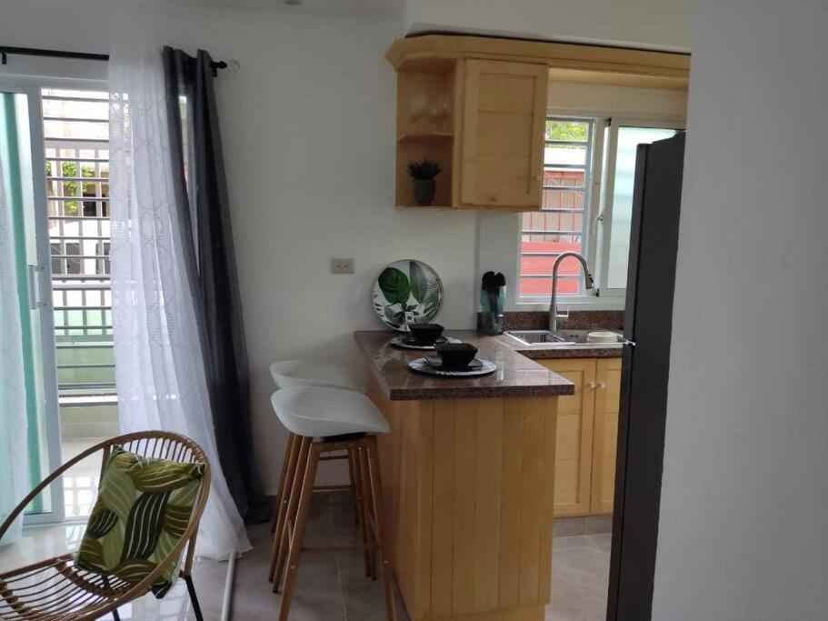 Luxurious Palm Breeze Studio Apt in San Isidro