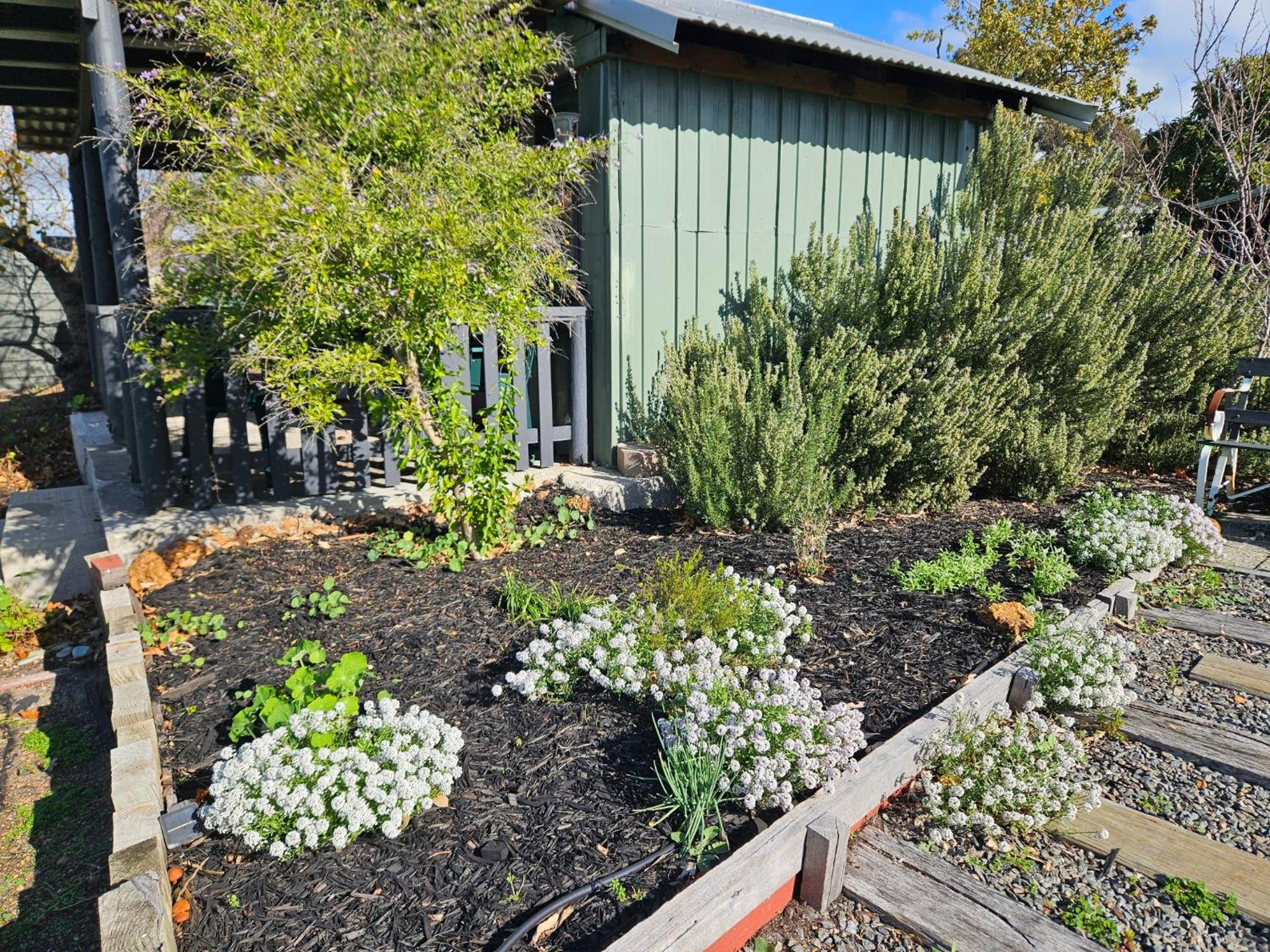 Cosy, 1930s Country Style Cottage in Mount Barker WA