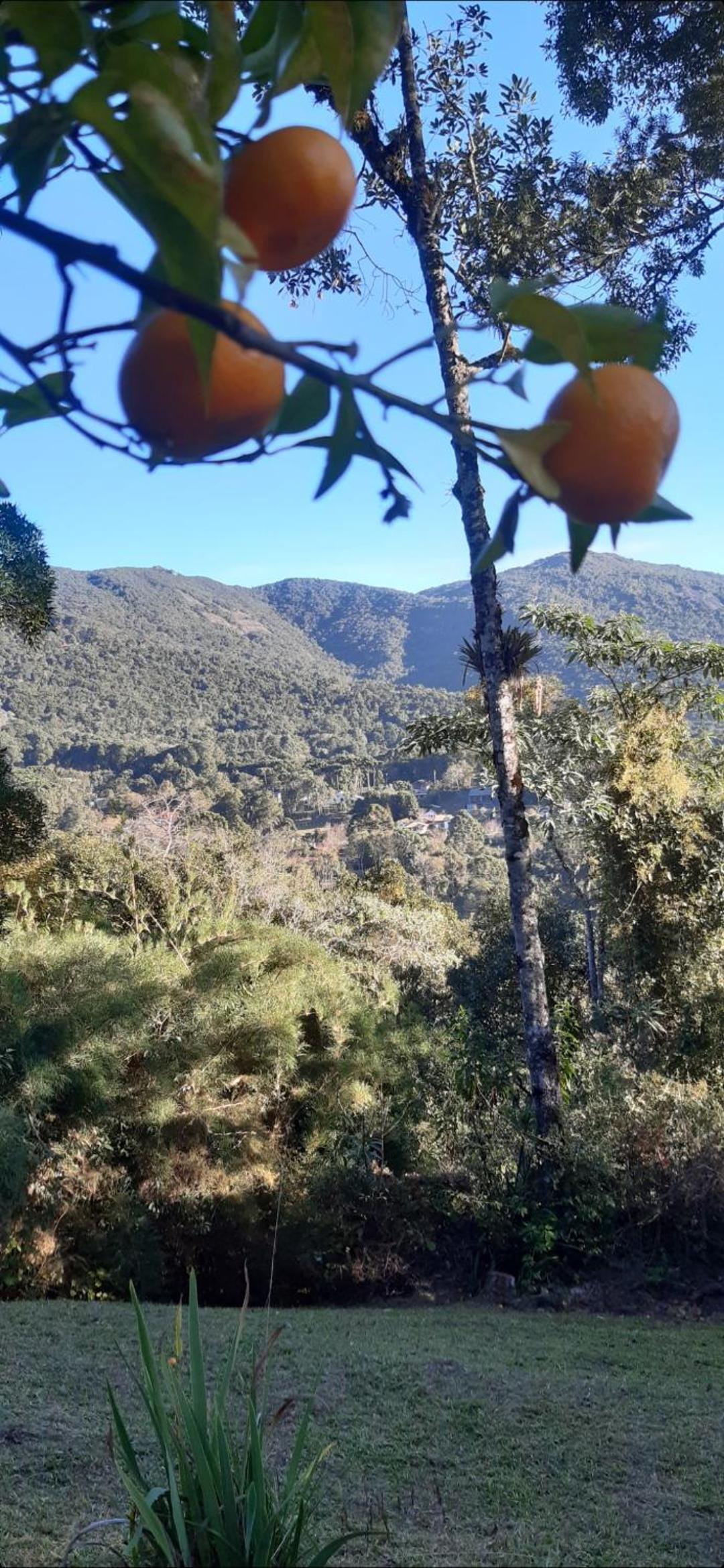 Dum Hory a 2,5 km do centrinho