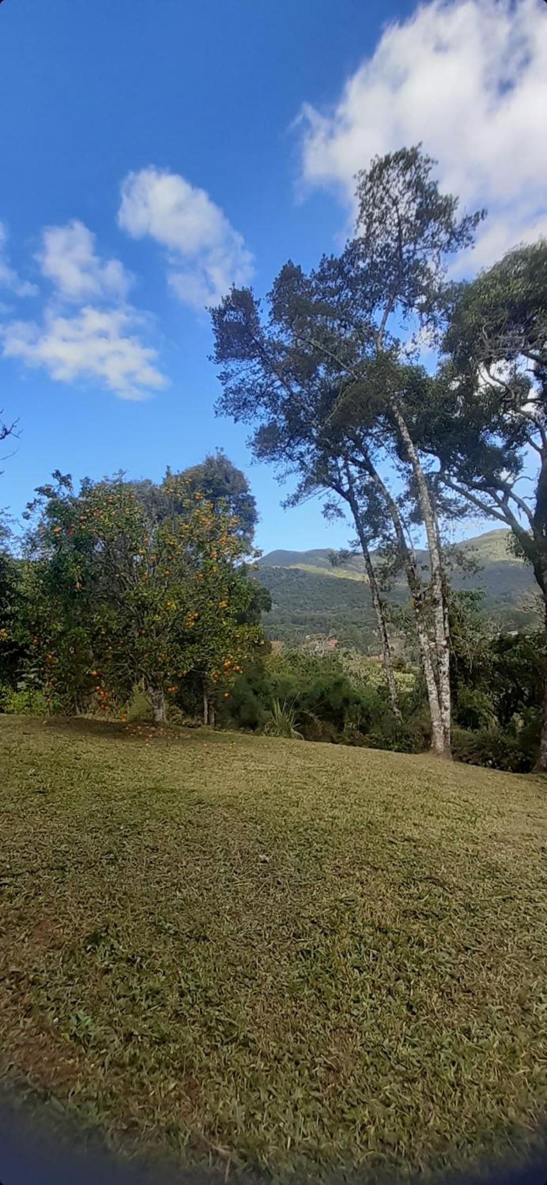 Dum Hory a 2,5 km do centrinho