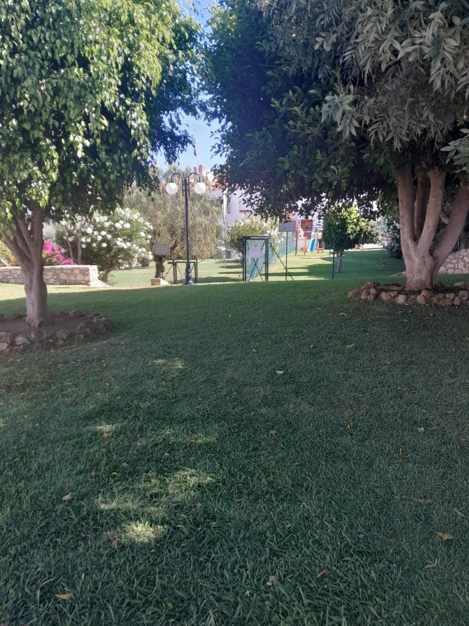 Photo 24