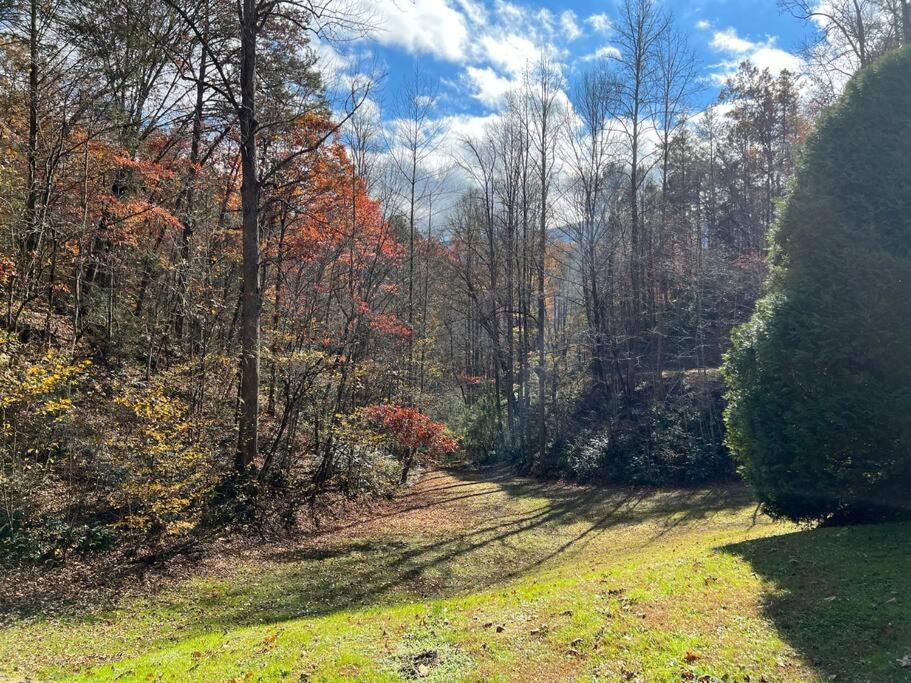 Shiner's Hollow view 5