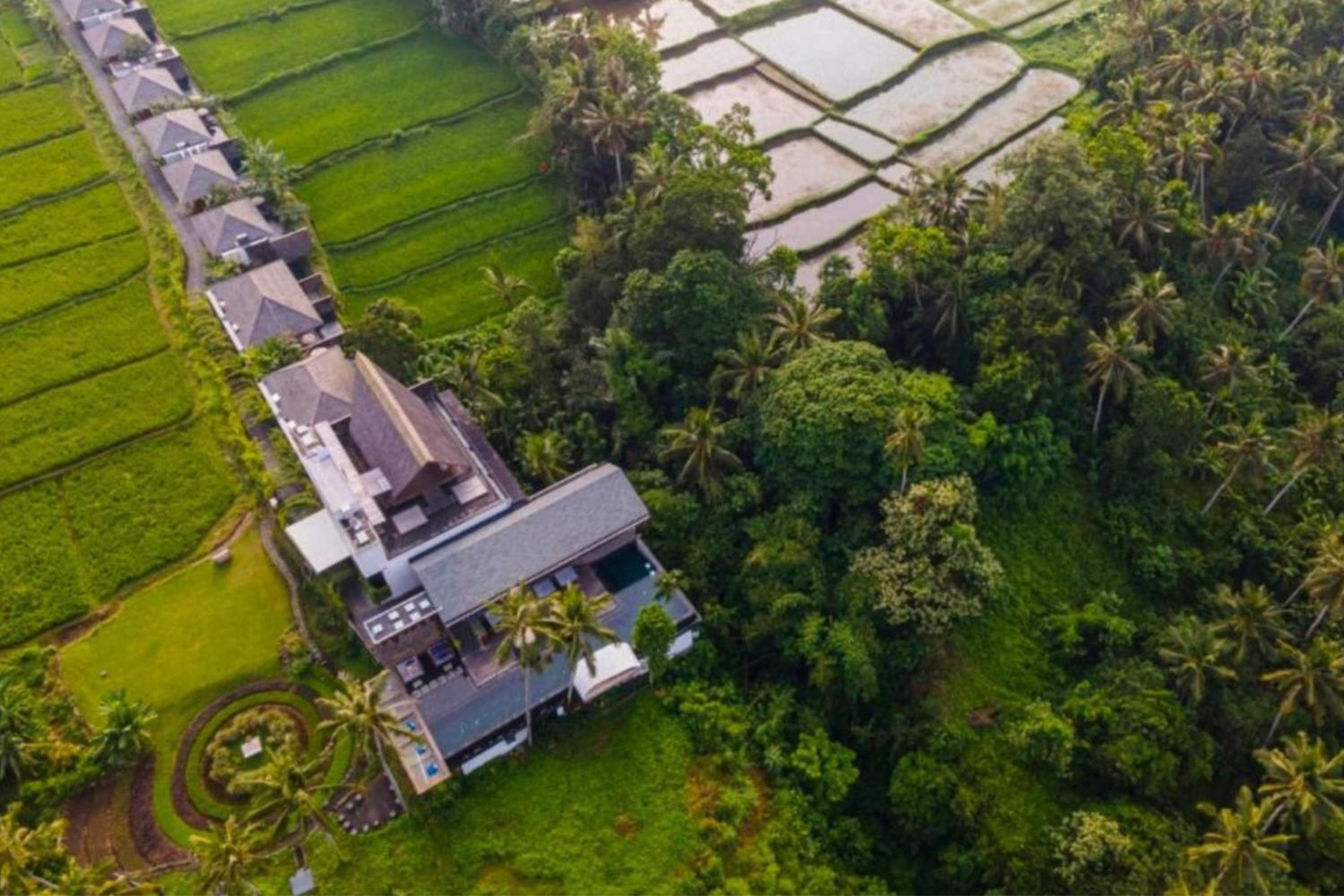 Luxury Grand 1 BR Rice Field Private Pool view 4