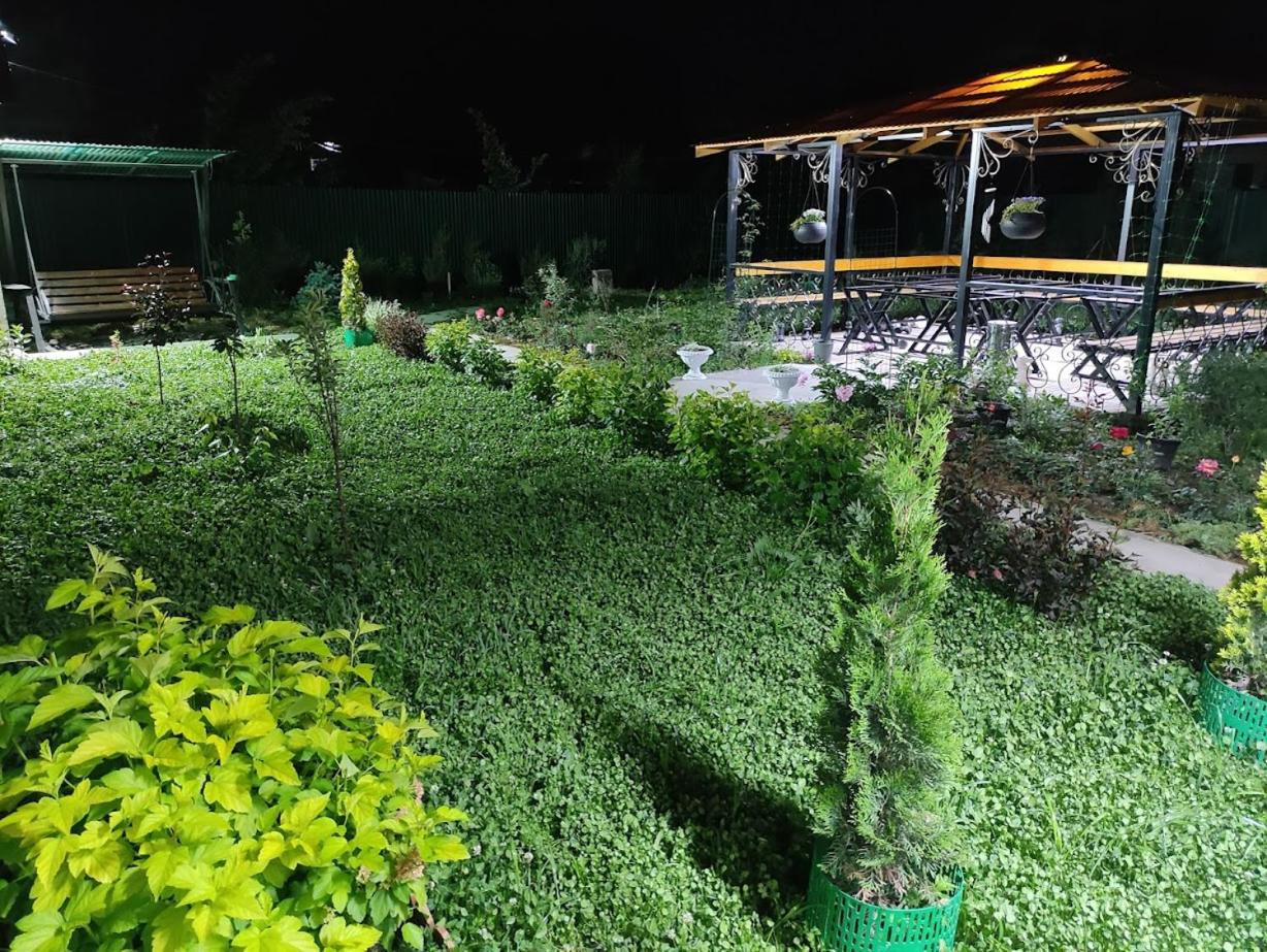 Alay Guest House view 3