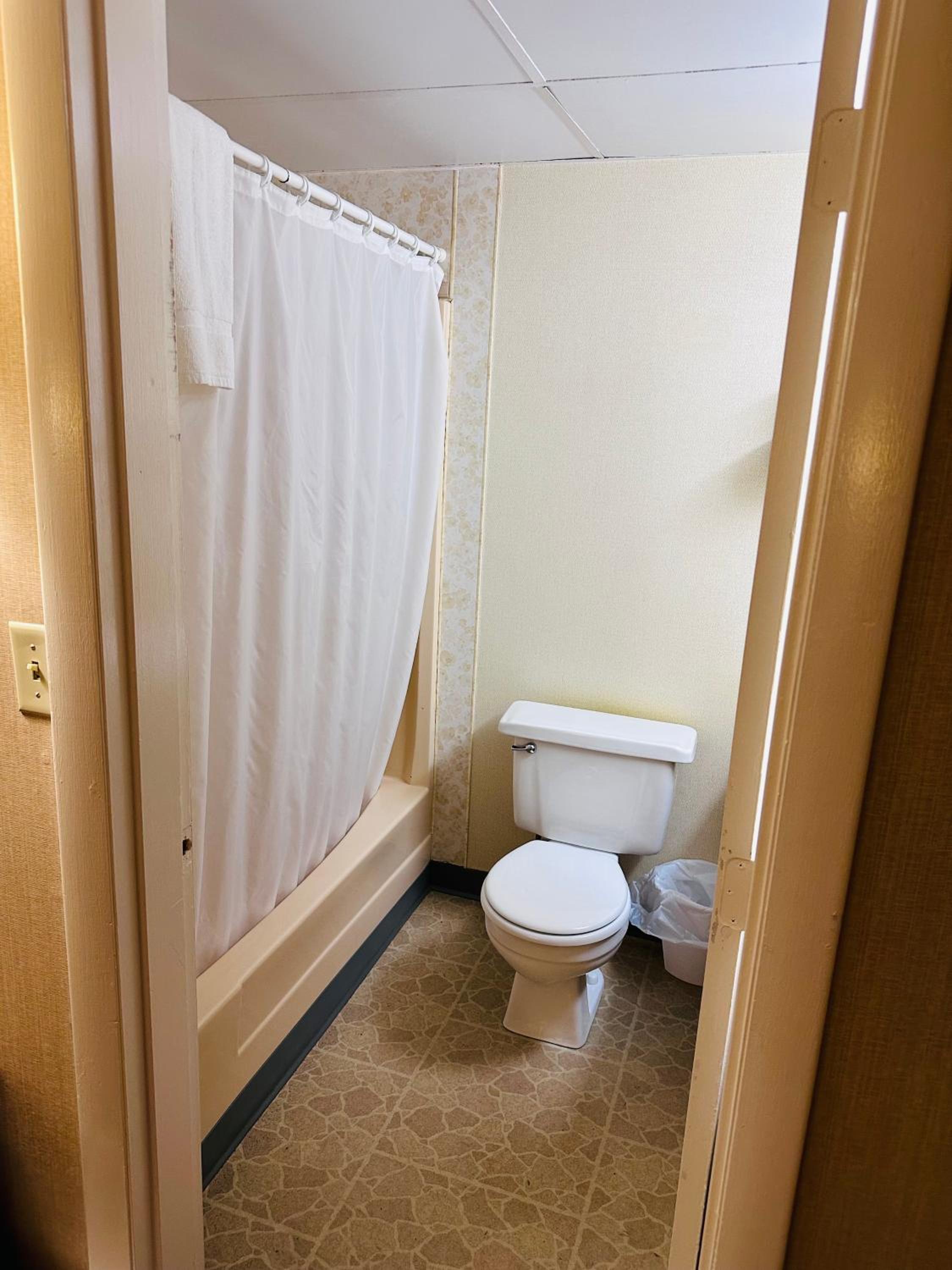 Photo 7