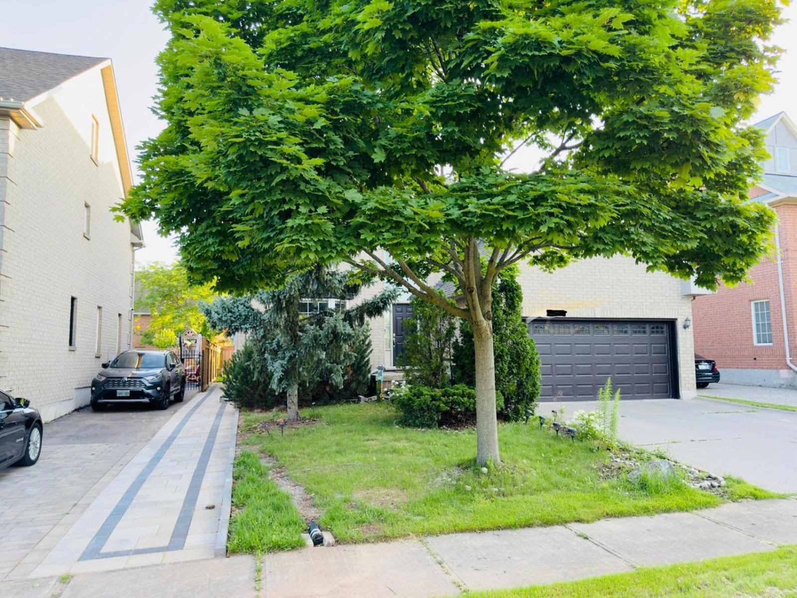 Spacious Basement in Oakville