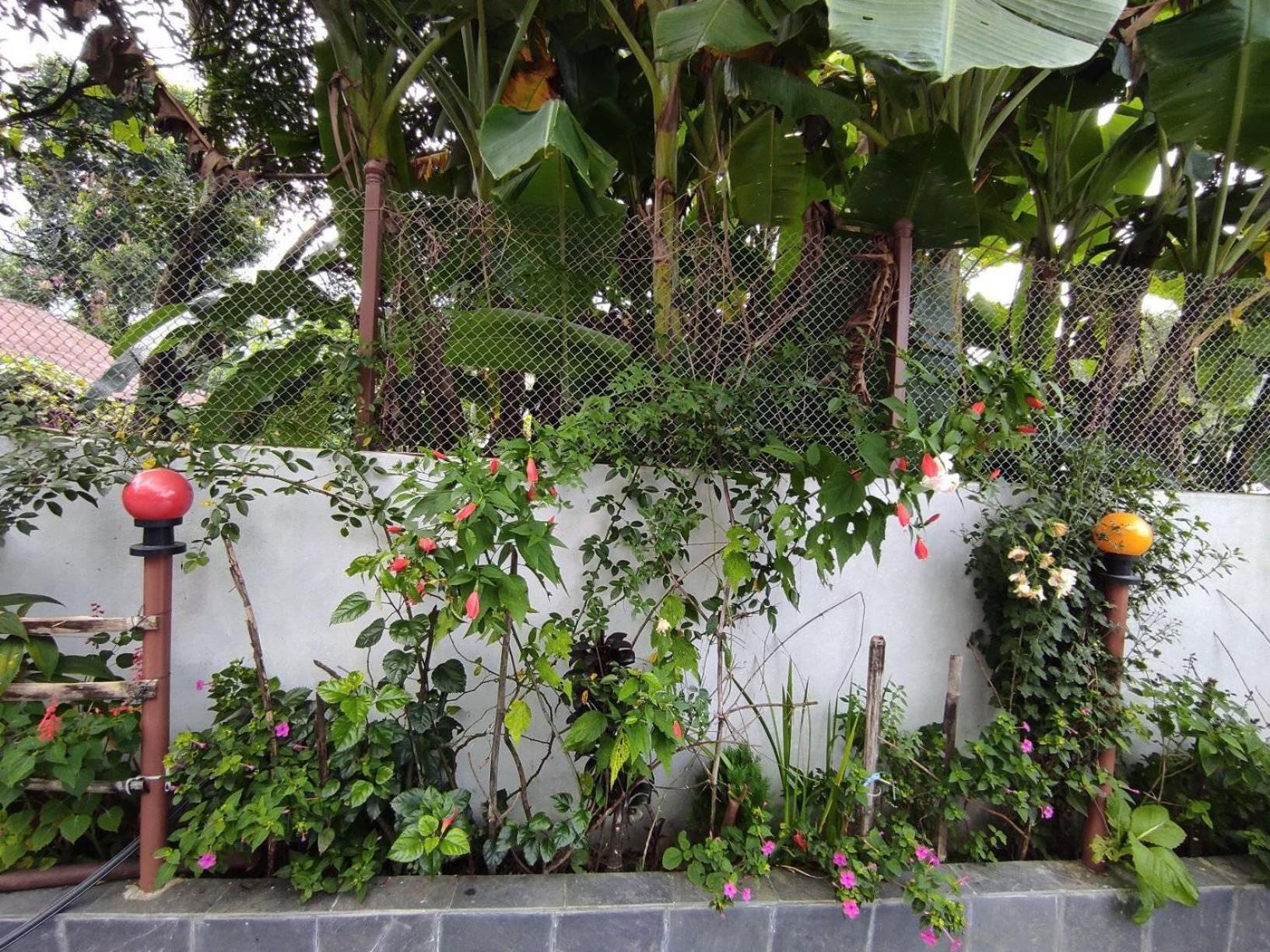 THAPA HOMESTAY