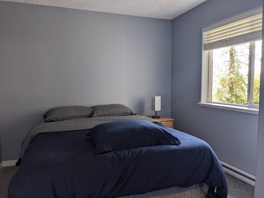 Charming 3 Bedroom Suite