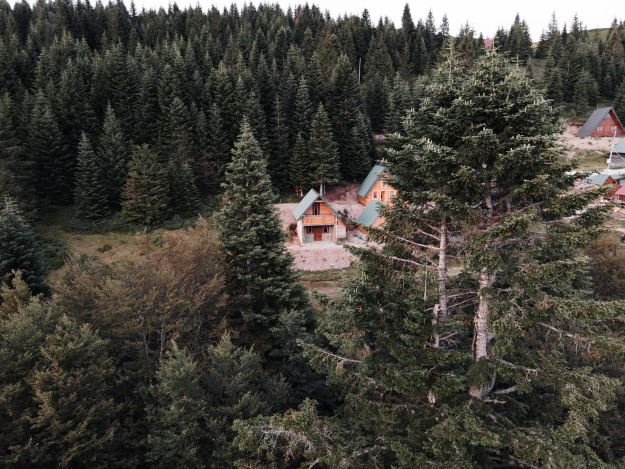 Mountain apartment-Komovi