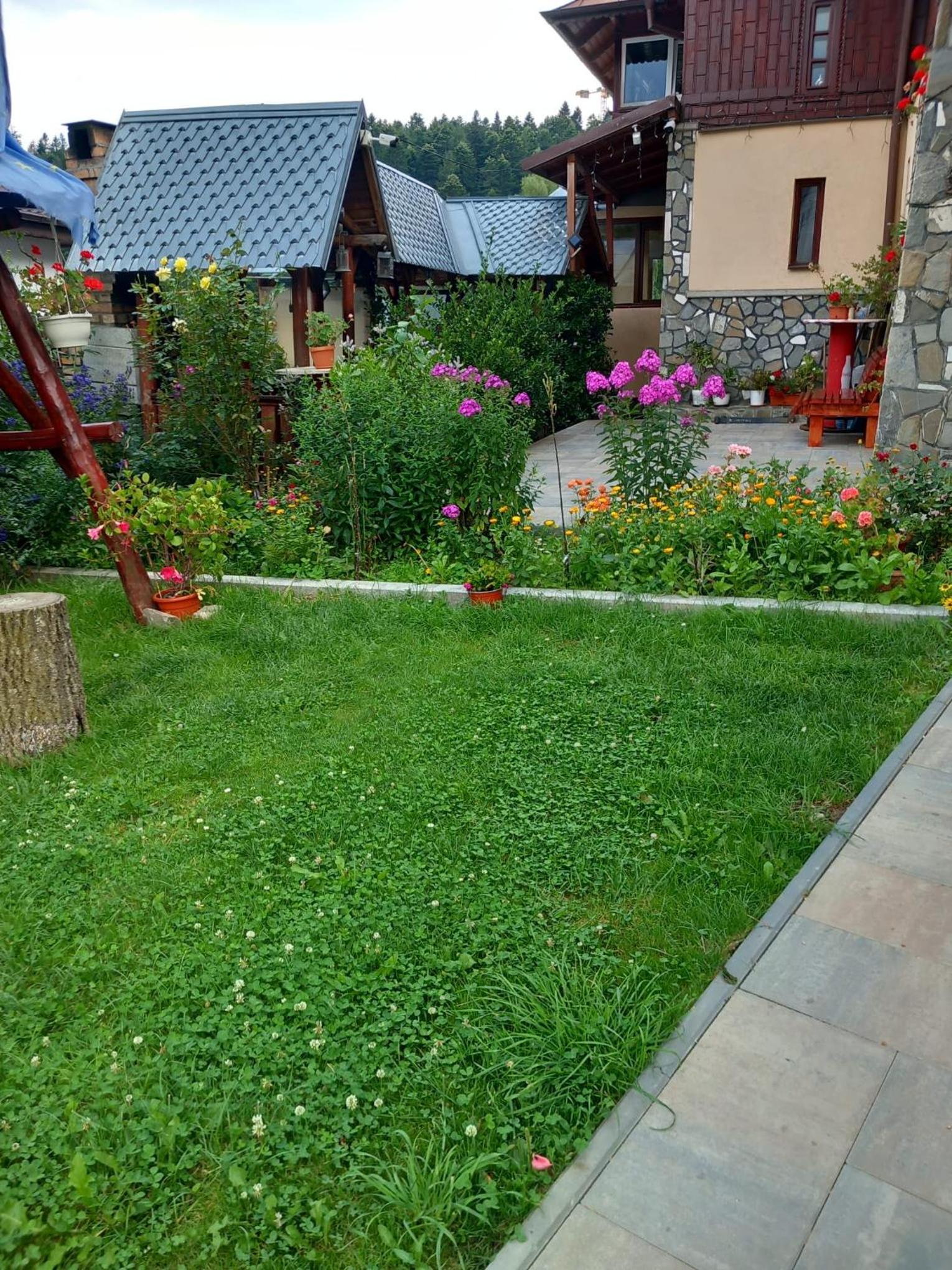 Photo 57