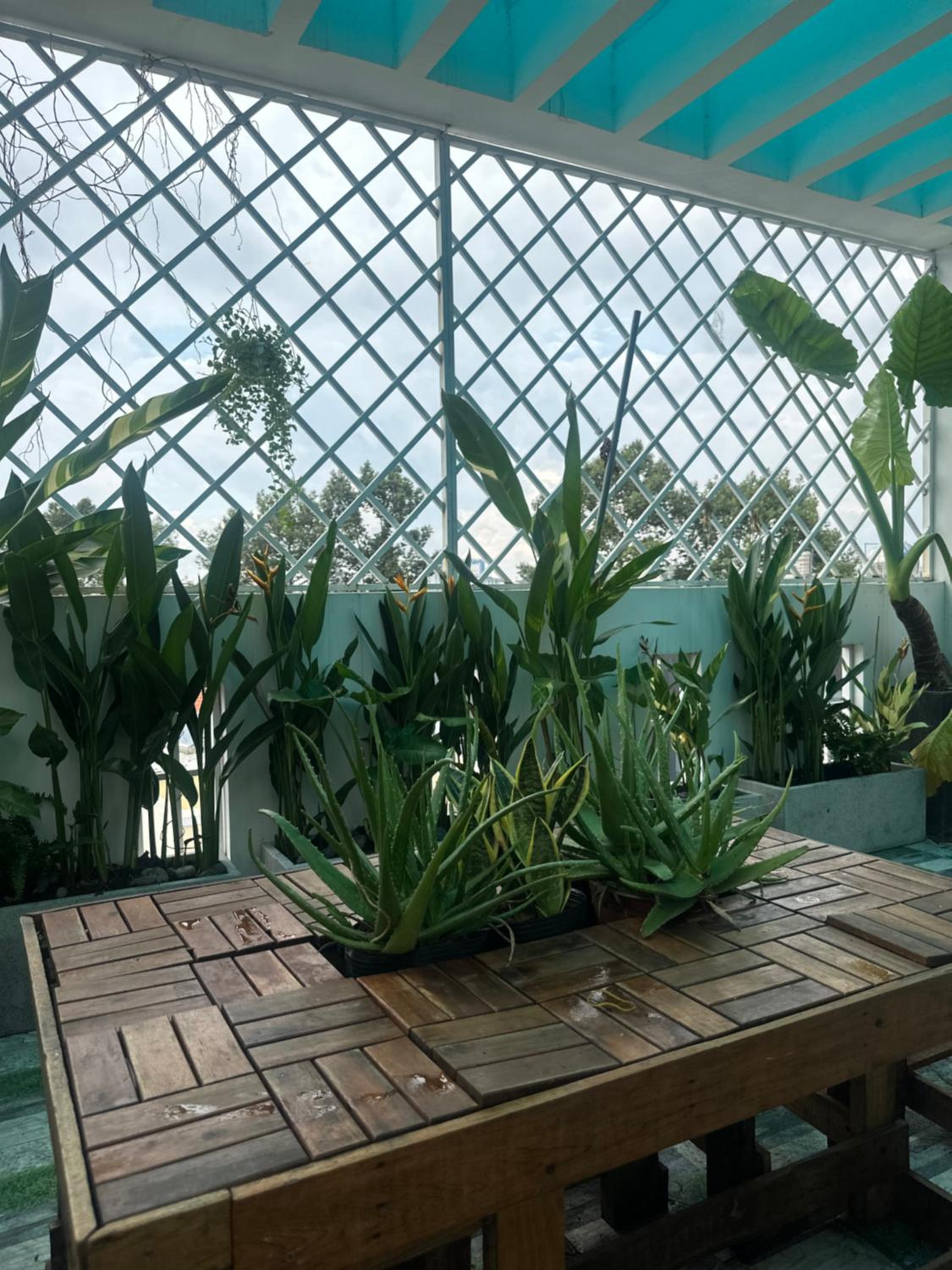 Saigon Dakao homestay