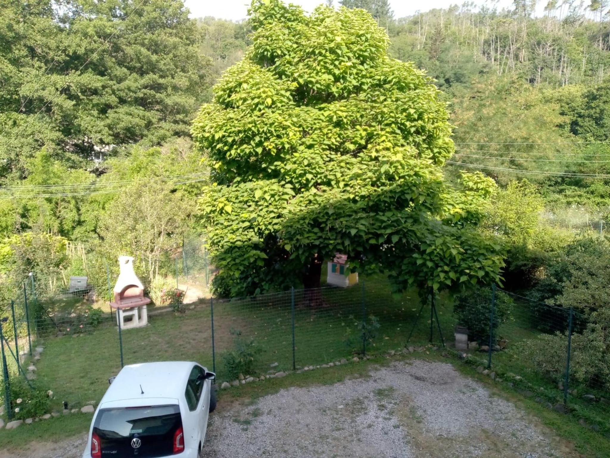 Photo 45