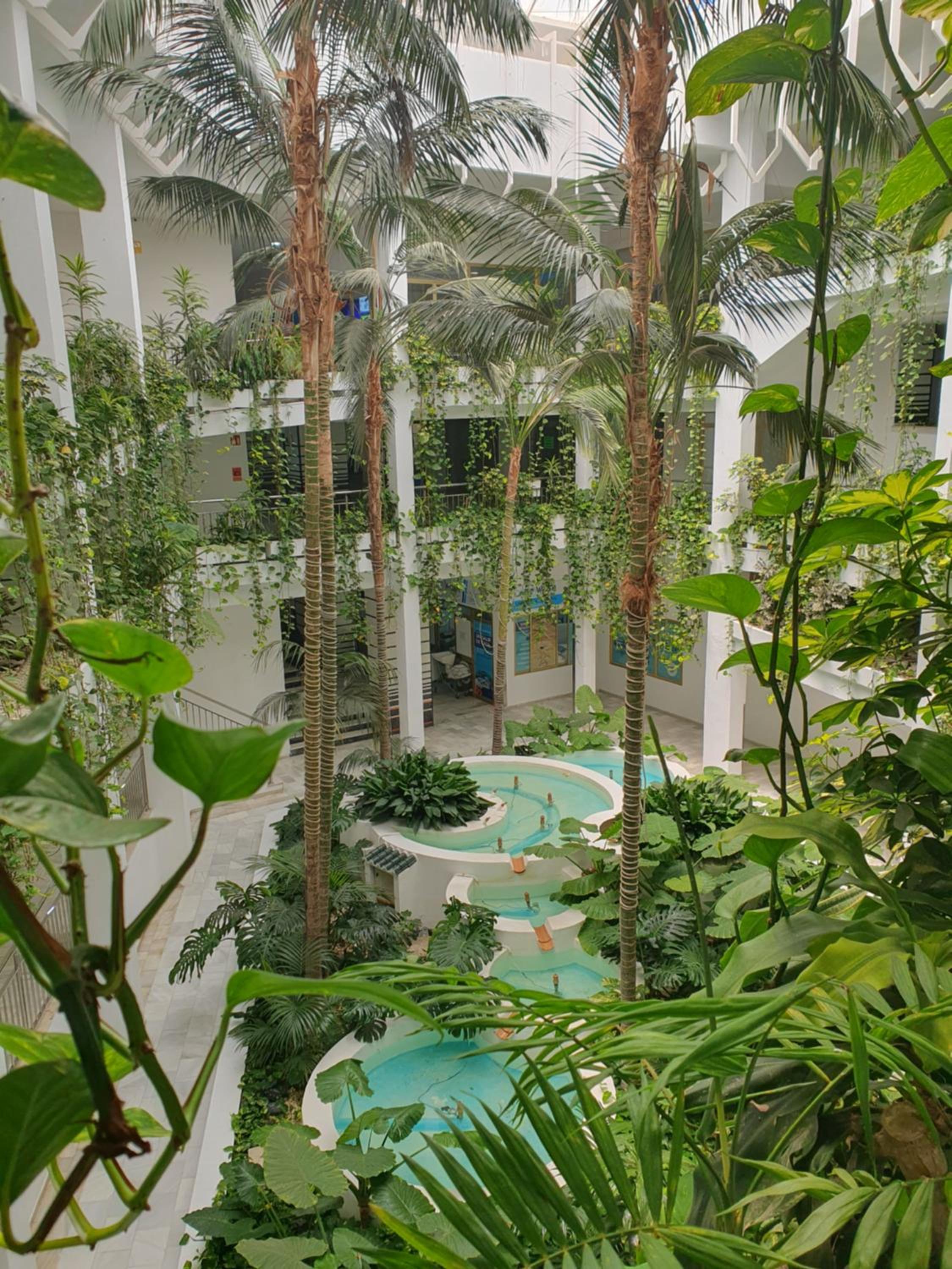 Benalbeach Loft Garden and Sea View