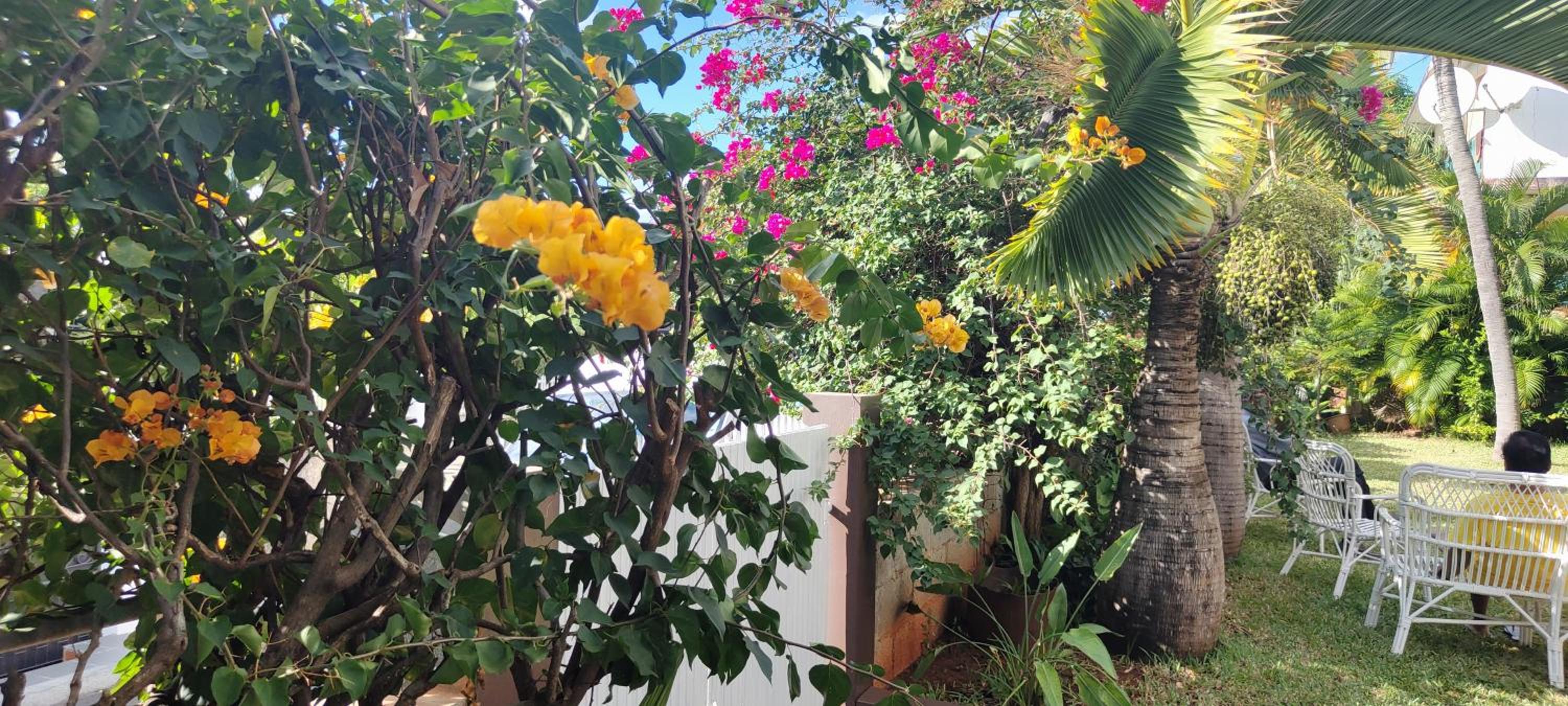 R GARDEN Pointe Aux Sables